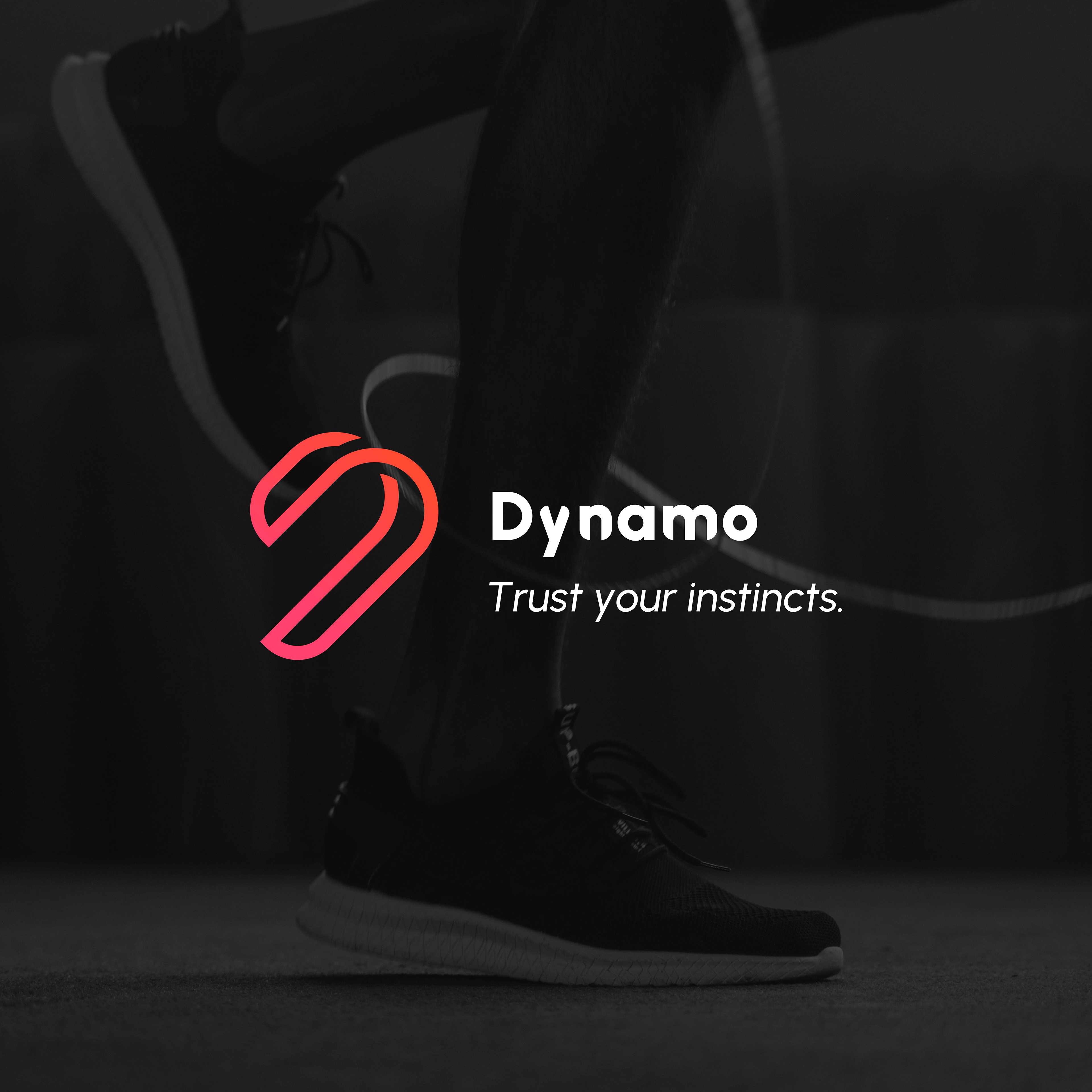 Dynamo - Logo Study