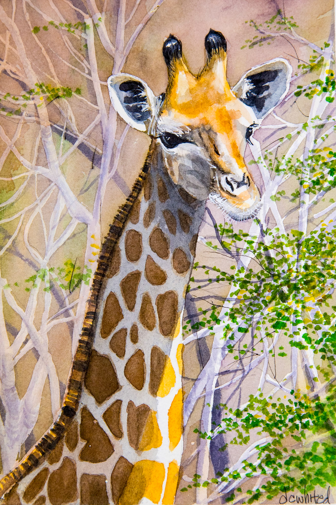 South African giraffe 7x9" waterolor
