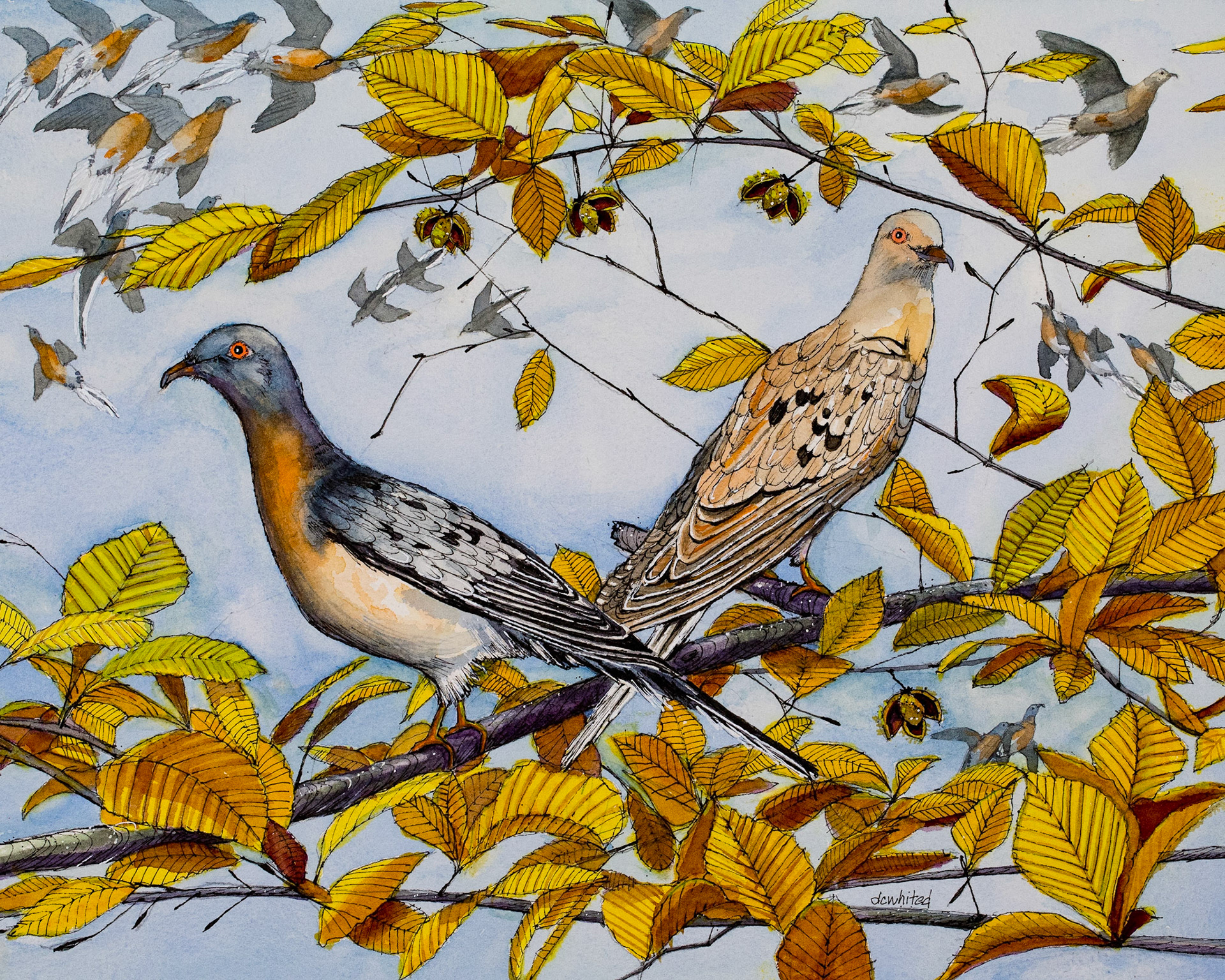 Passenger Pigeons (extinct)