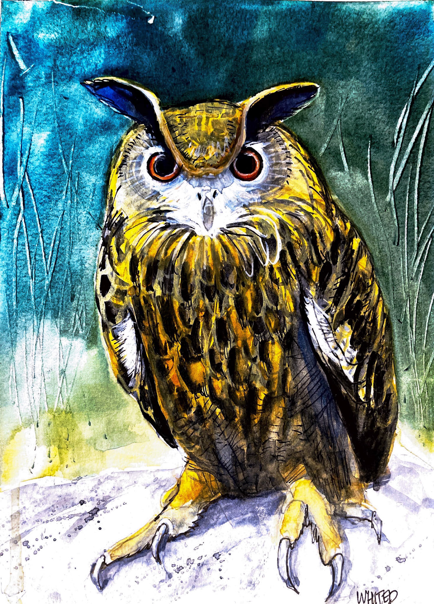 Eurasian Eagle Owl