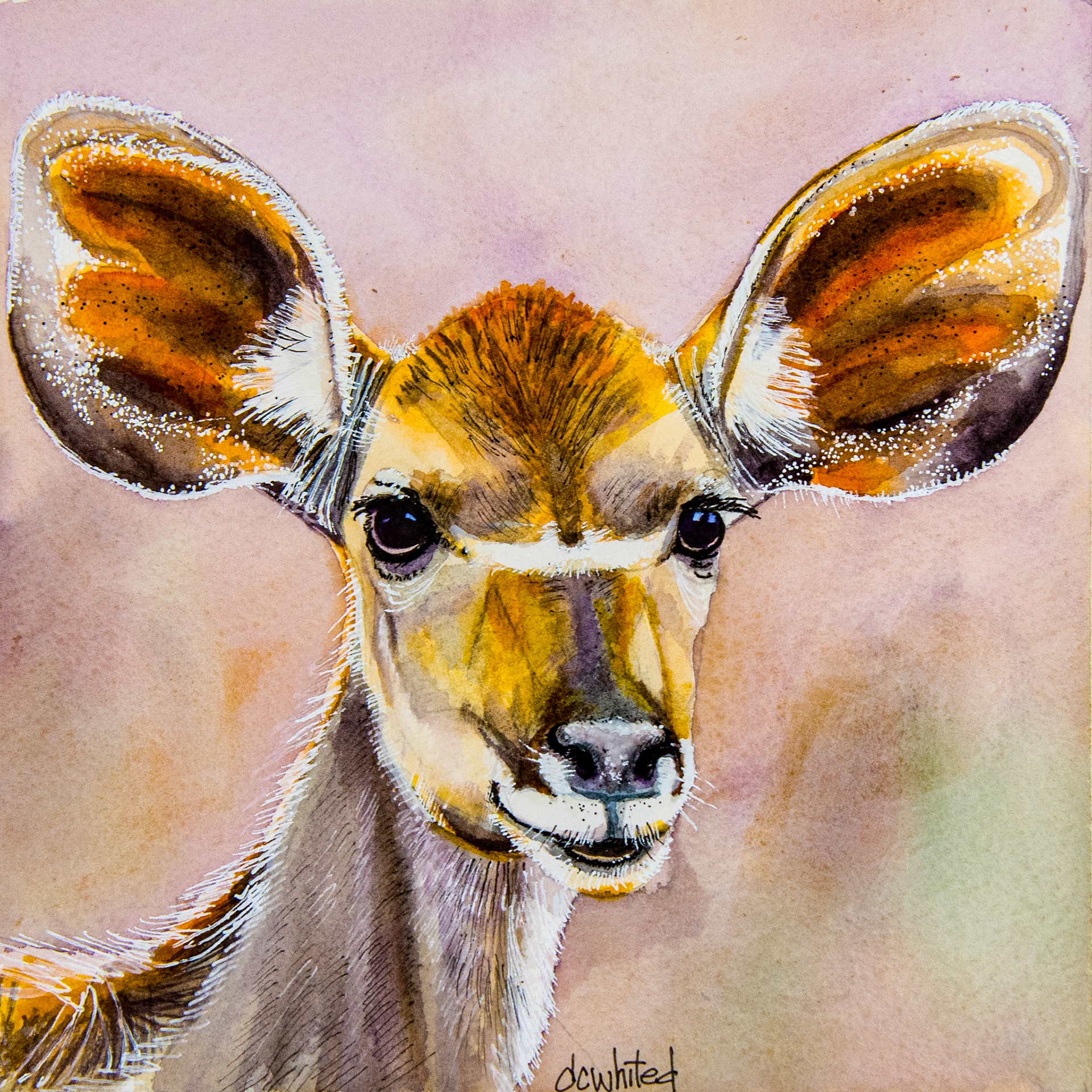 Female kudu 9x9" watercolor