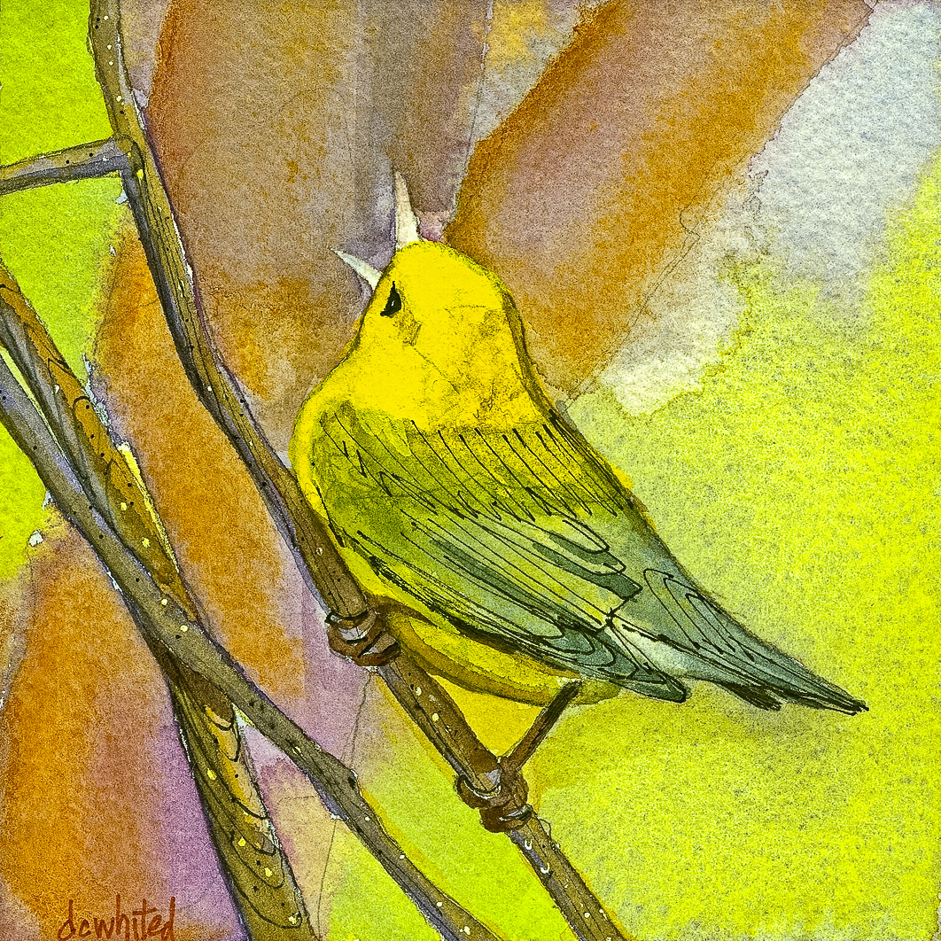 Prothonotary Warb;er