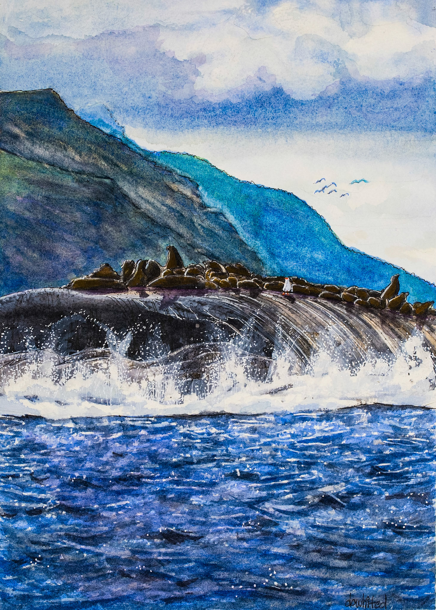 Seal Island African Coast