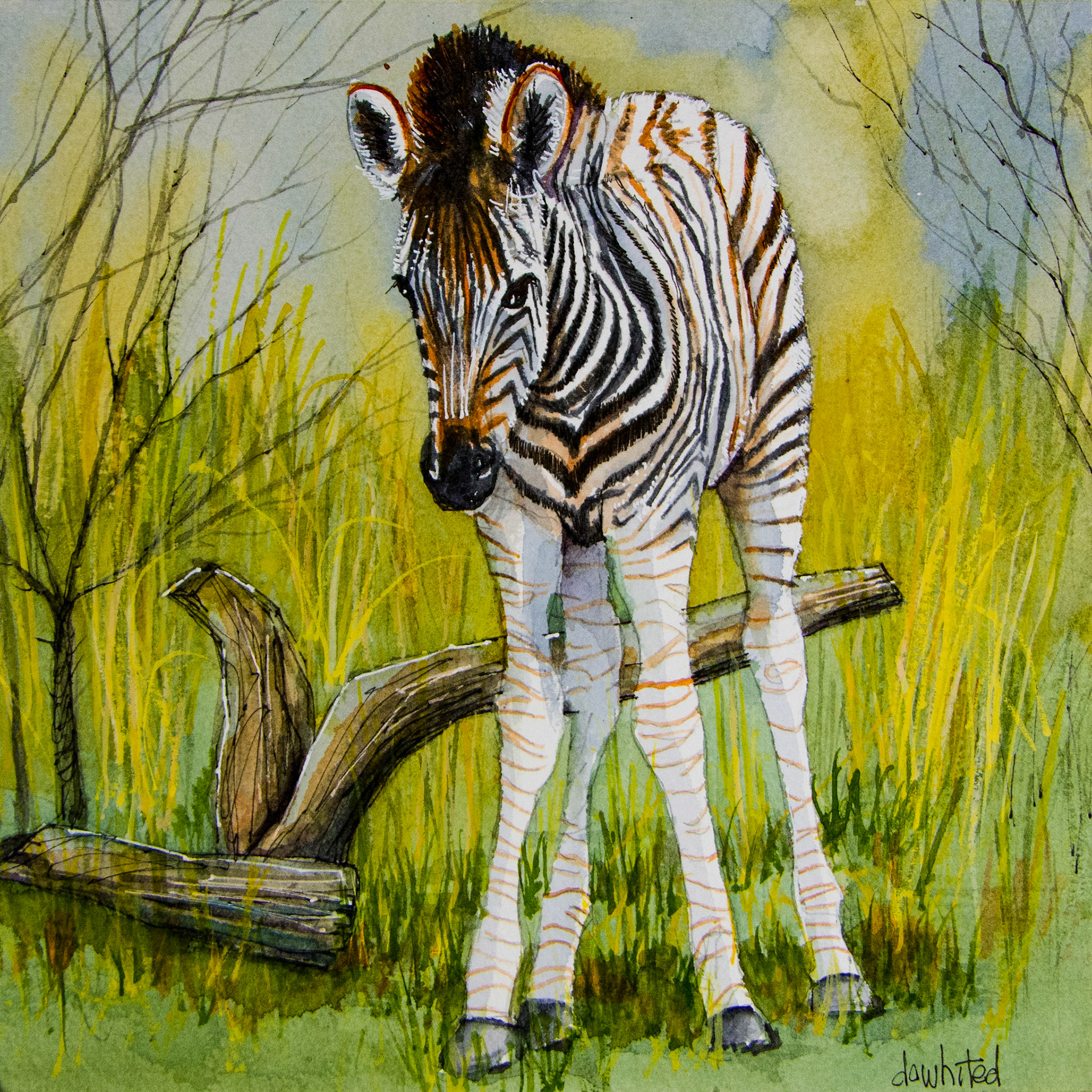 Baby zebra 9x9 watercolor