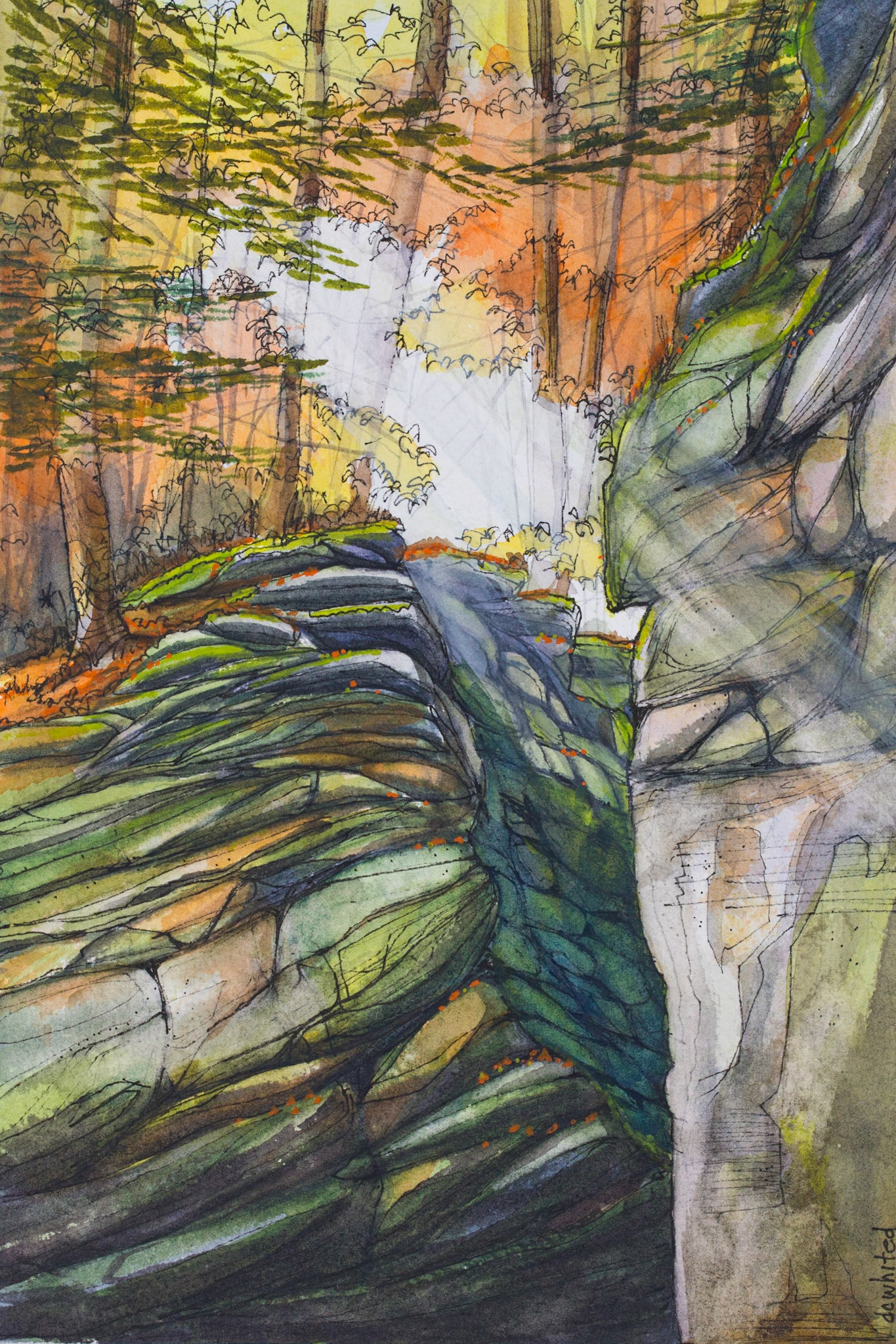 Ledges Trail