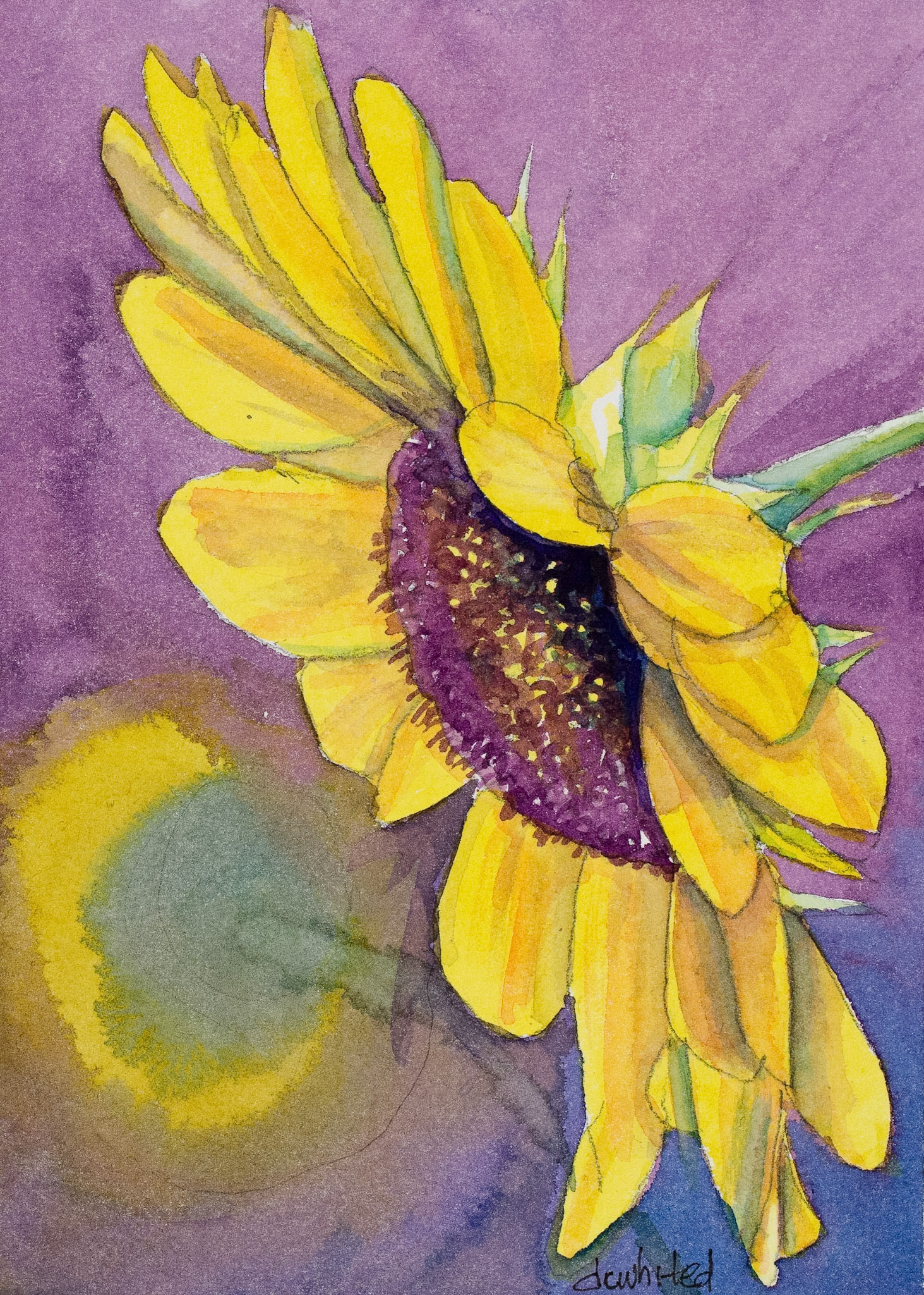 Sun Flower in Purple