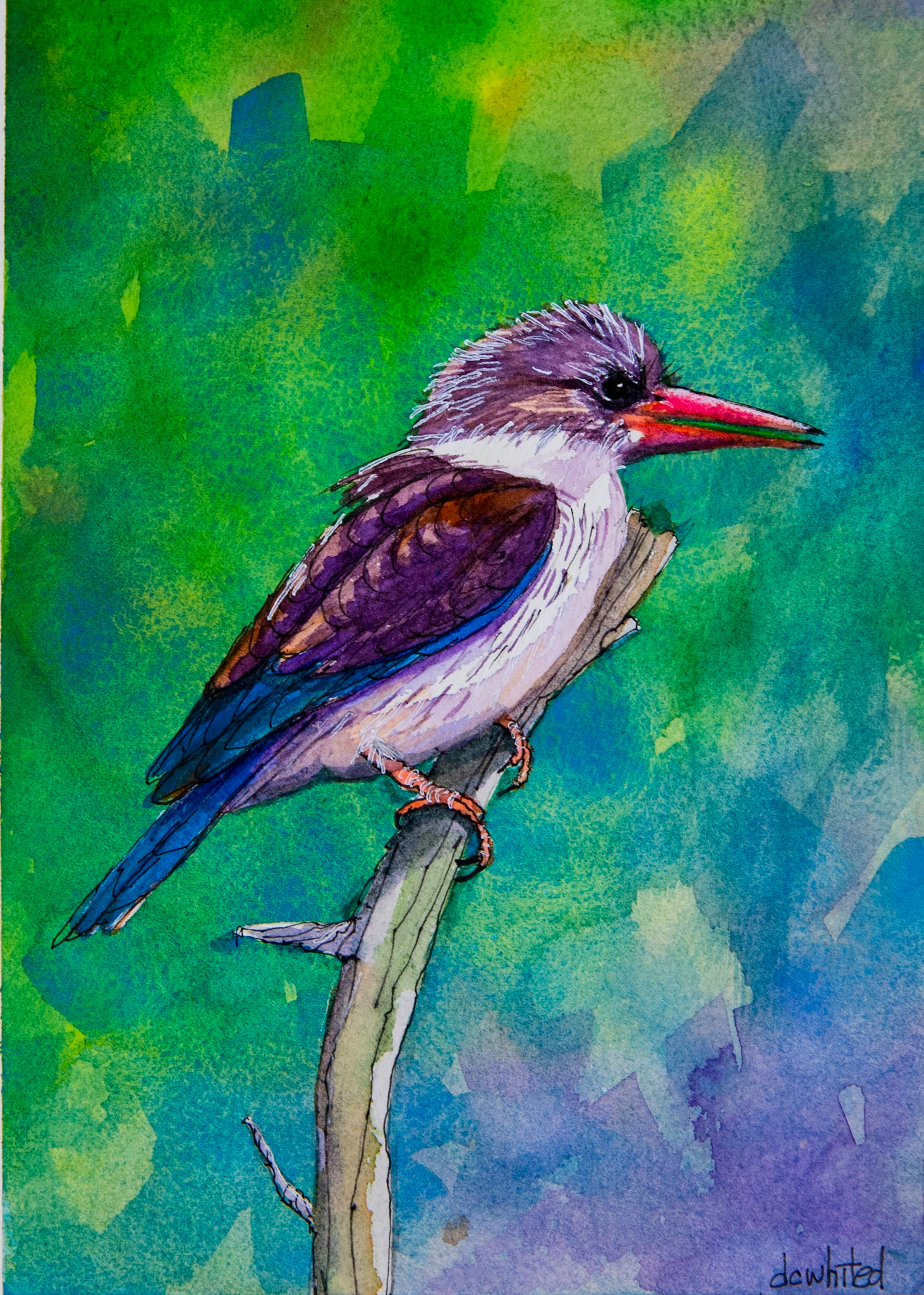 Brown-hooded Kingfisher