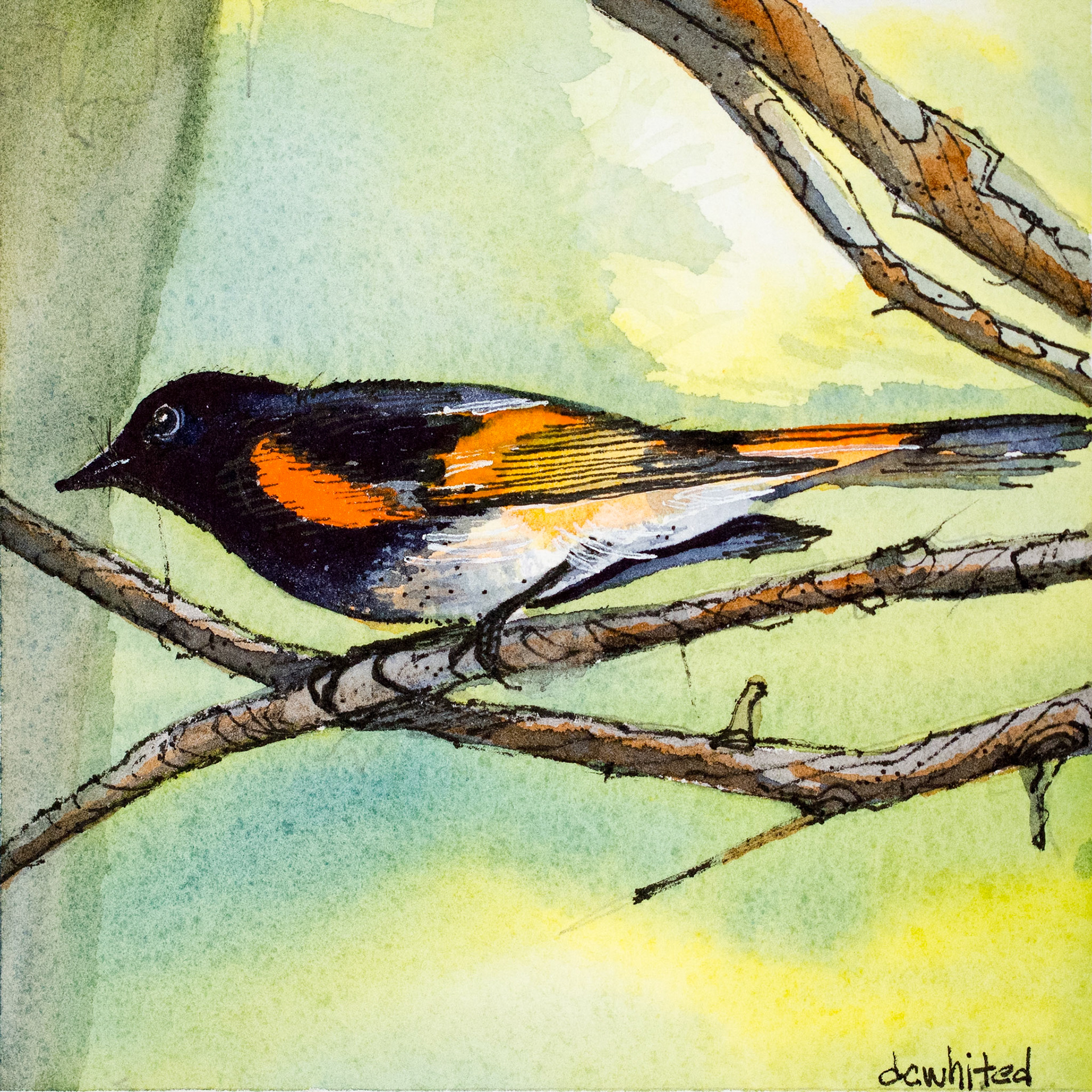 Redstart 