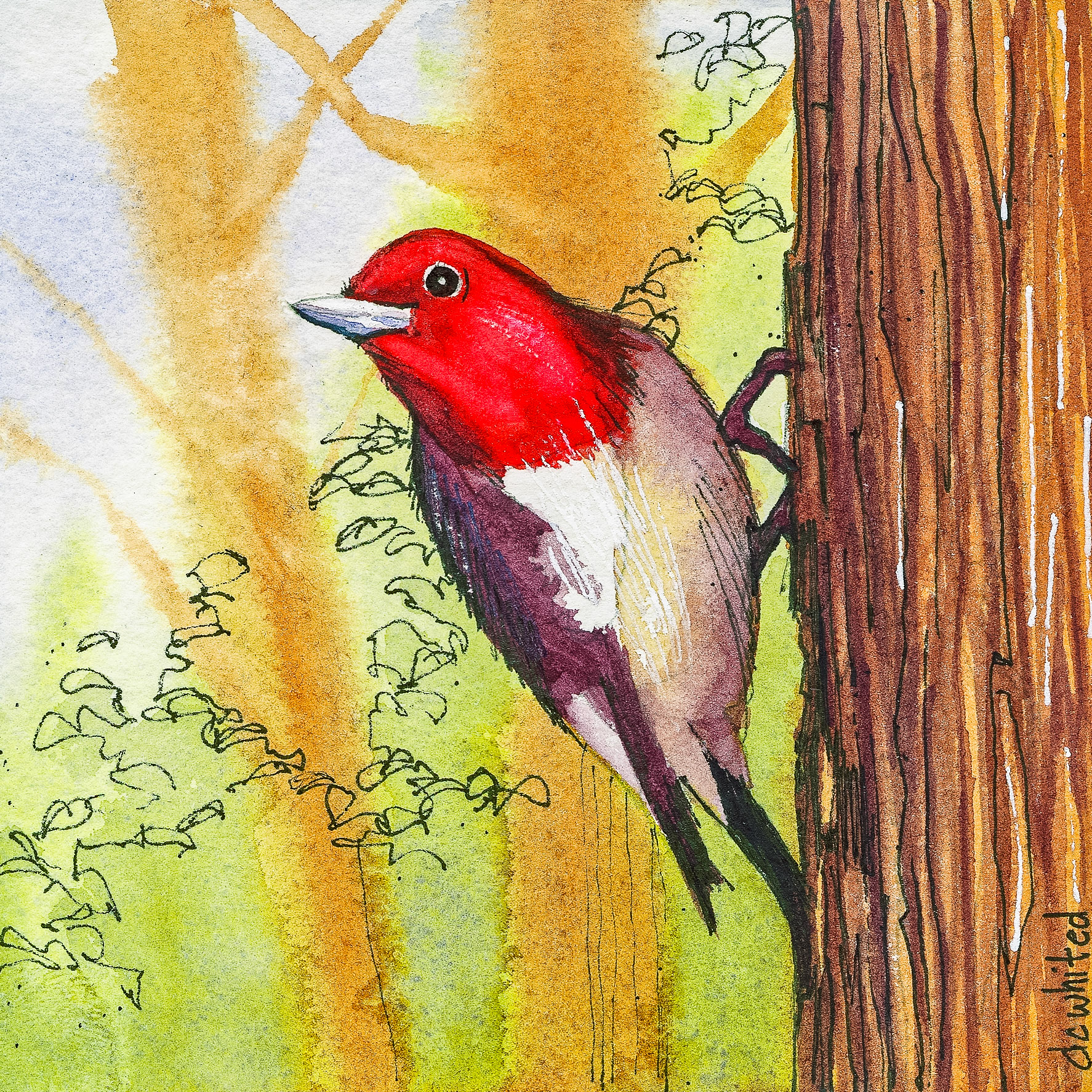 Red=headed Woodpecker