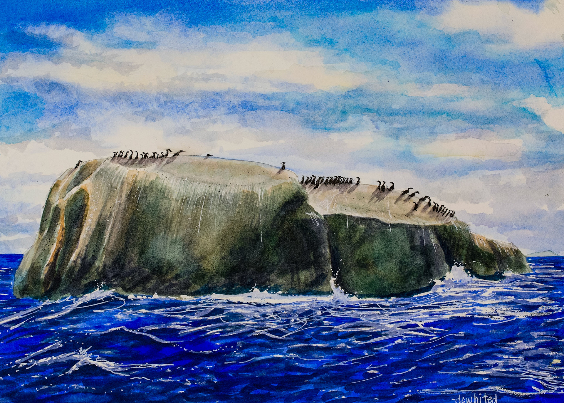 Cormorant Island African Coast