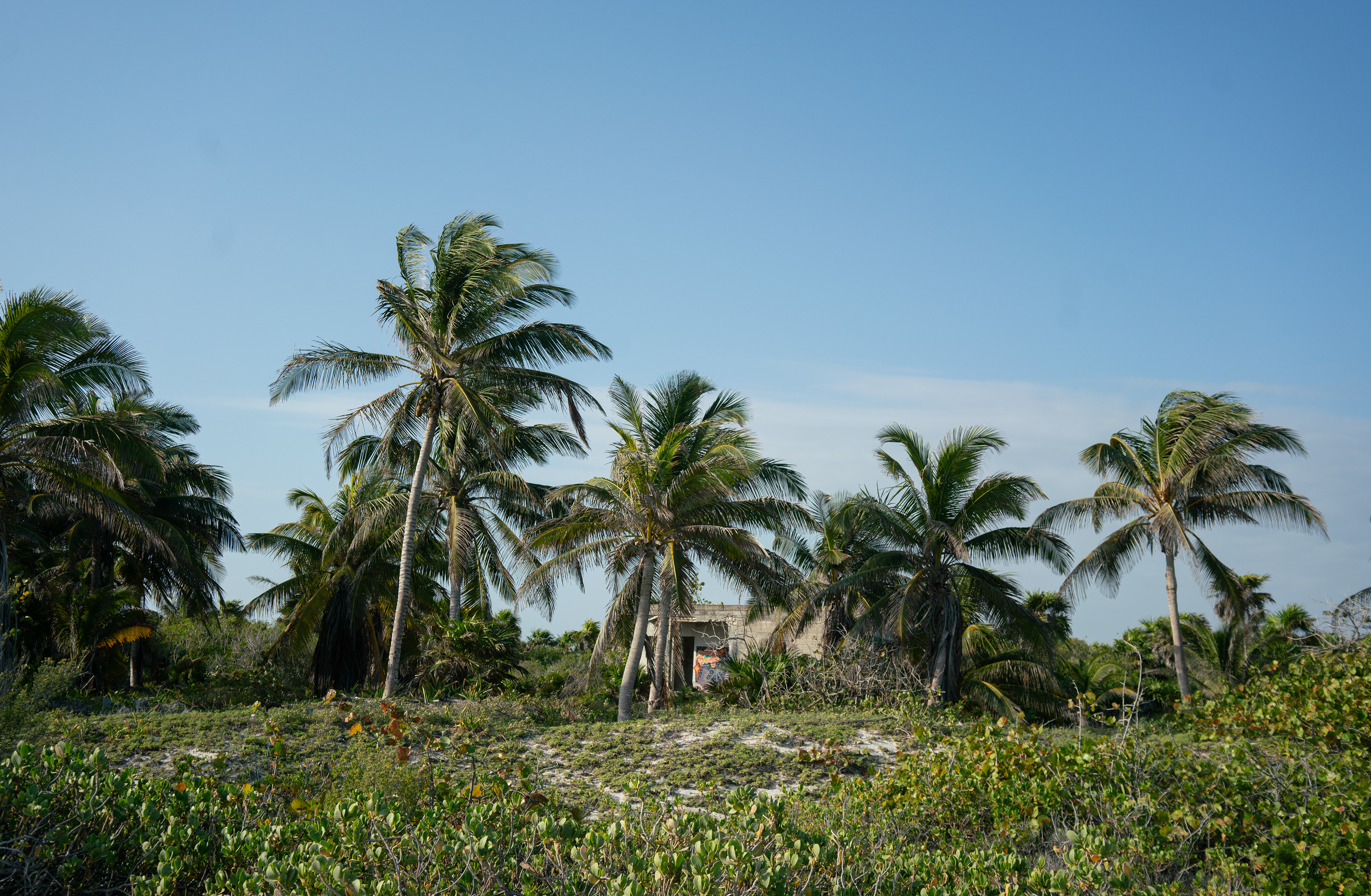El Cuyo, México