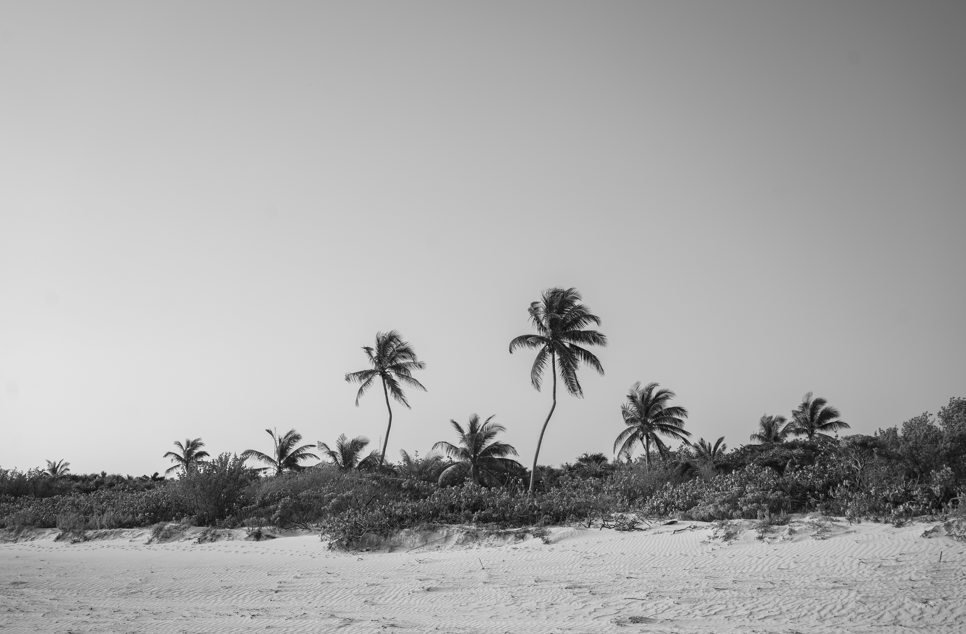 El Cuyo, México