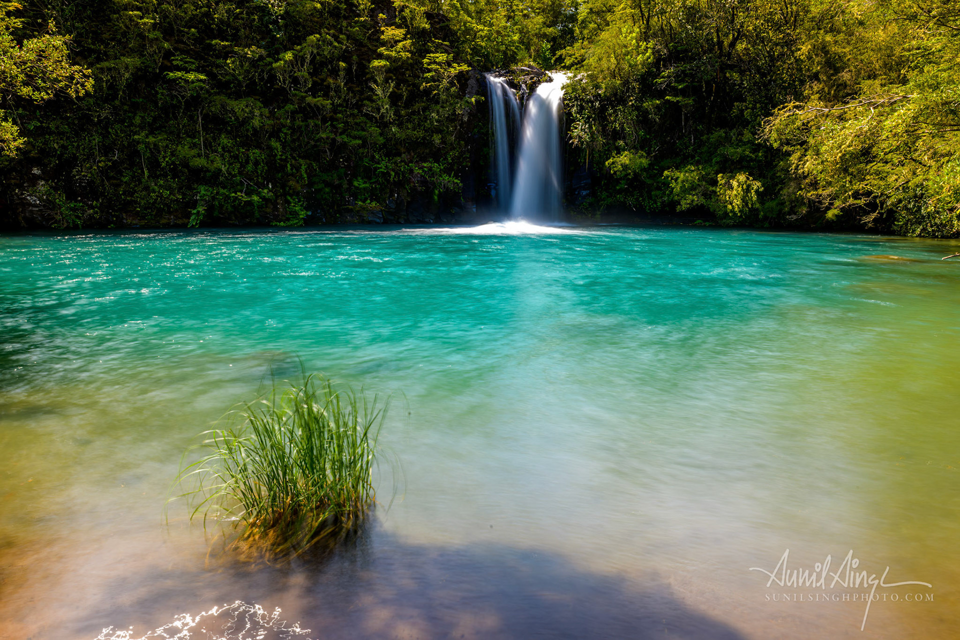 Vicente Pérez Rosales National Park, Lake District, Chile
