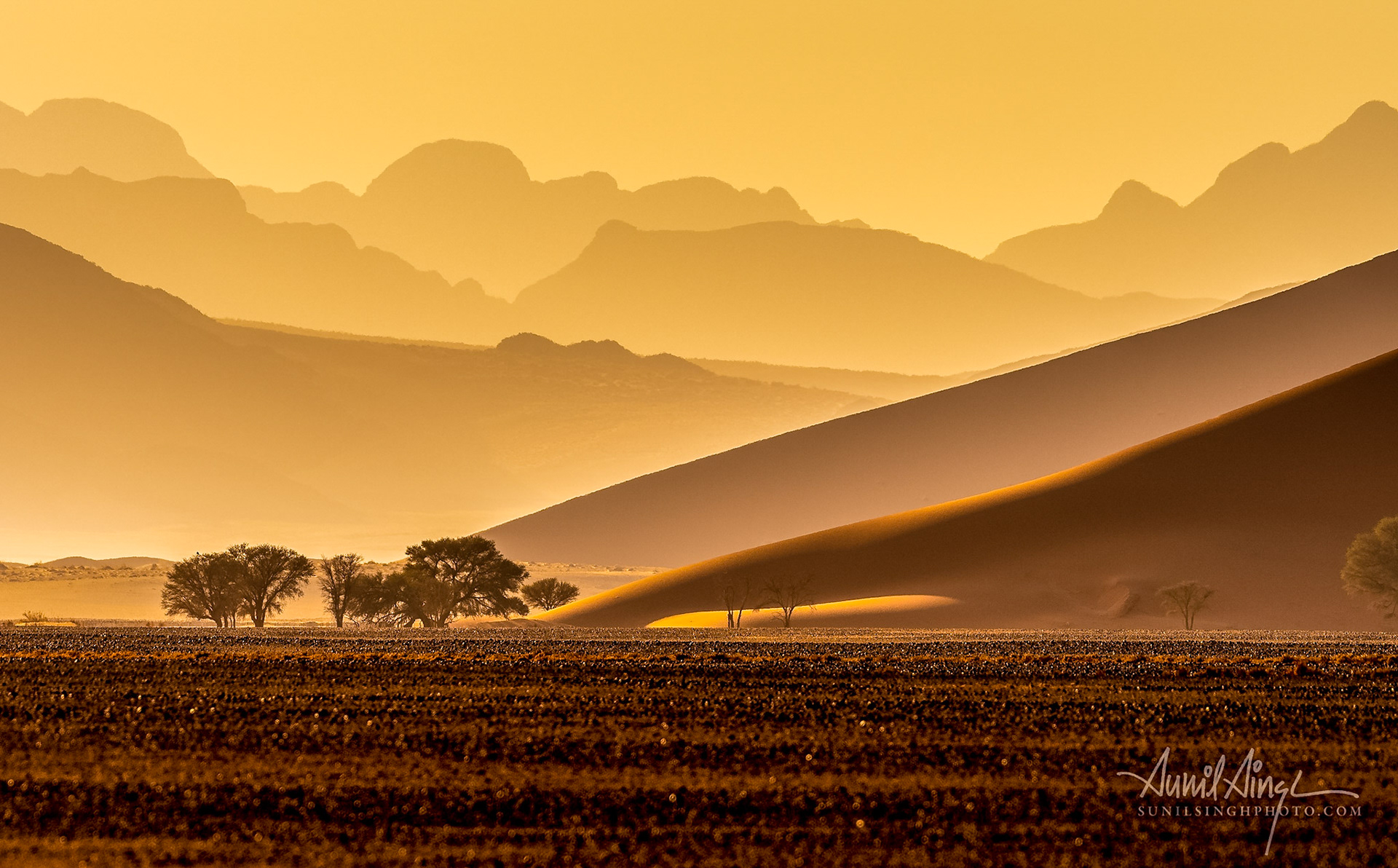 Namib-Naukluft Park, Namib Desert, Namibia