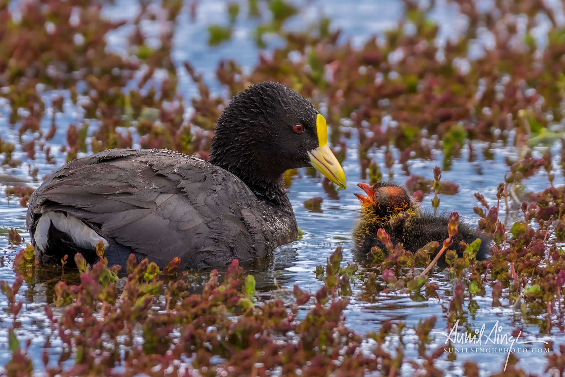 Torres del Paine National Park