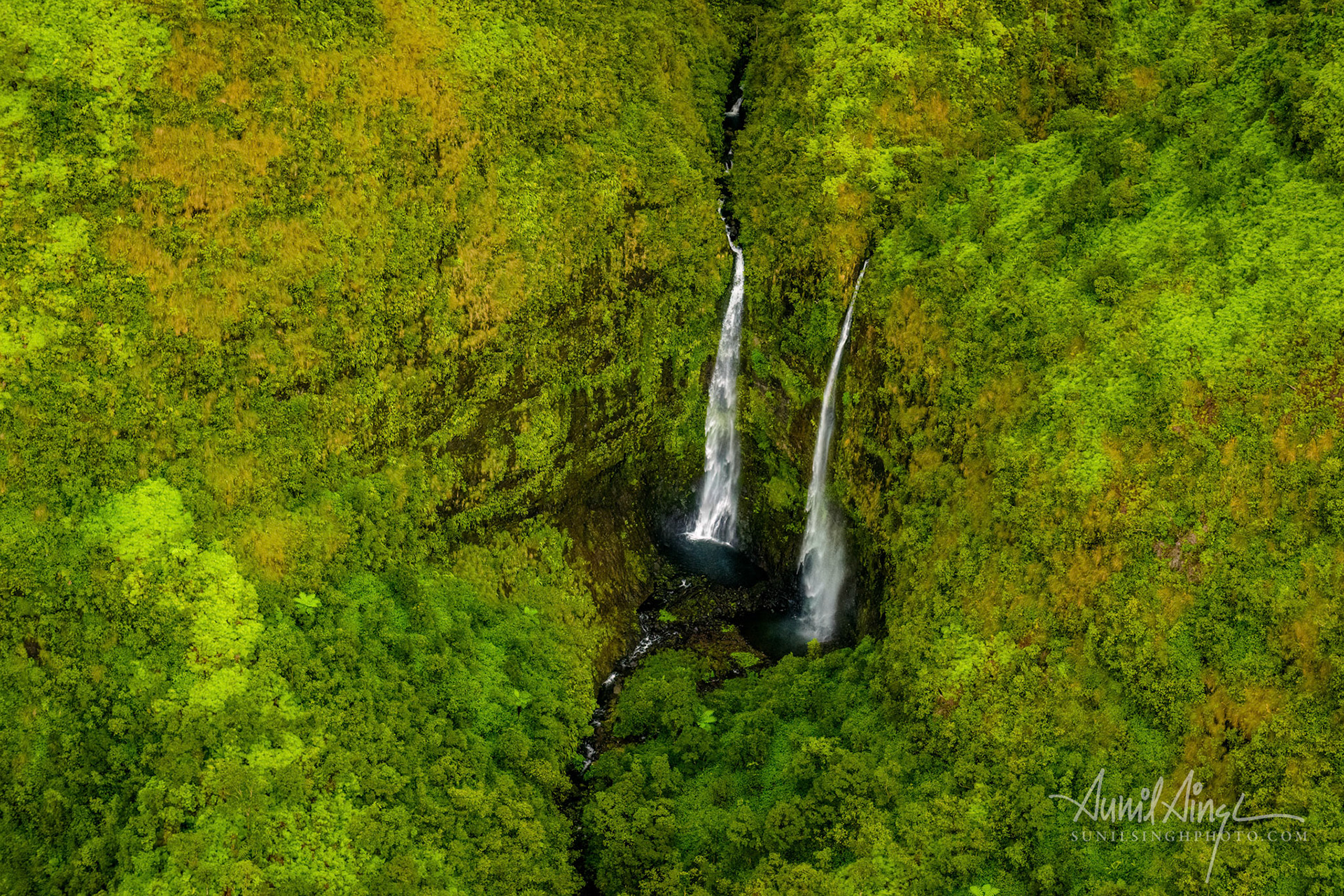 Kauai Forest Reserves, Kauai, Hawaii