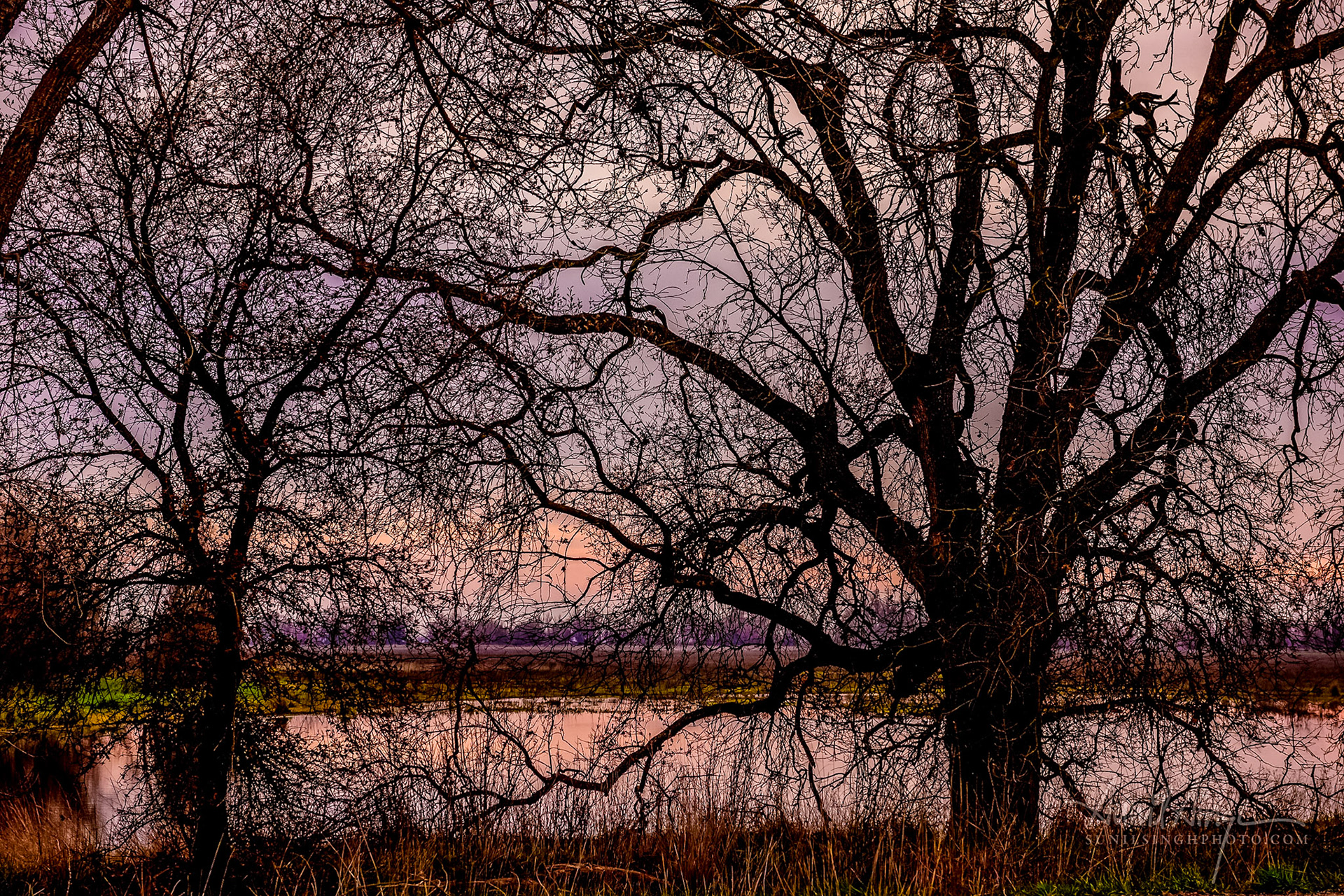 Colusa, California, USA