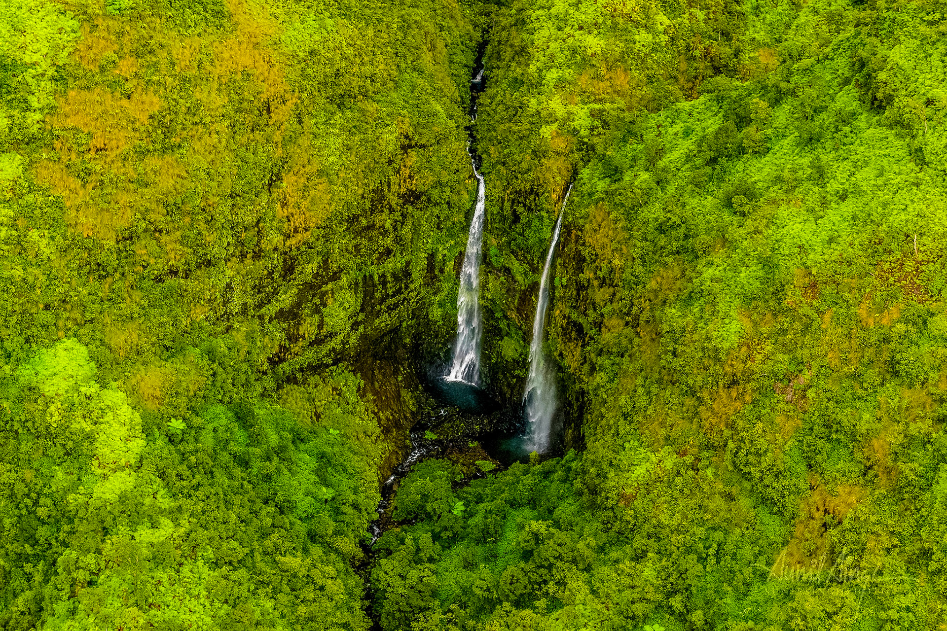 Kauai Forest Reserves, Kauai, Hawaii
