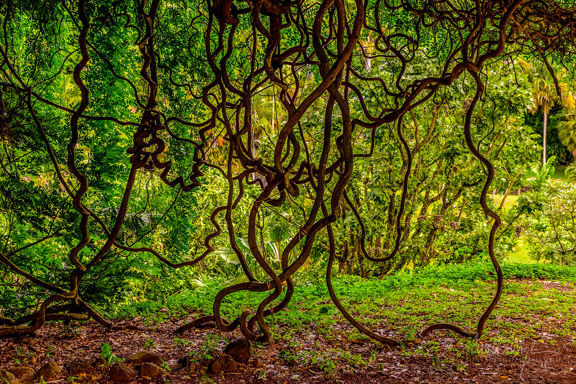 Kauai, Hawaii