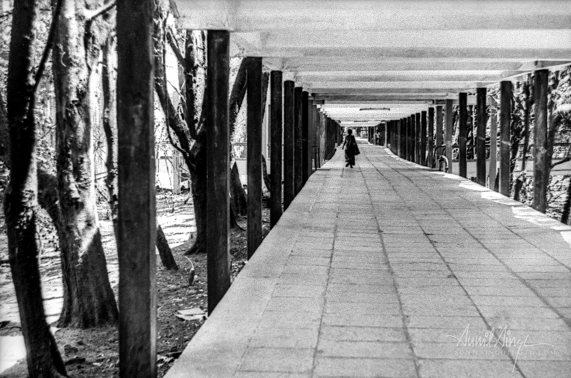 Lonely Lady, Mumbai, India