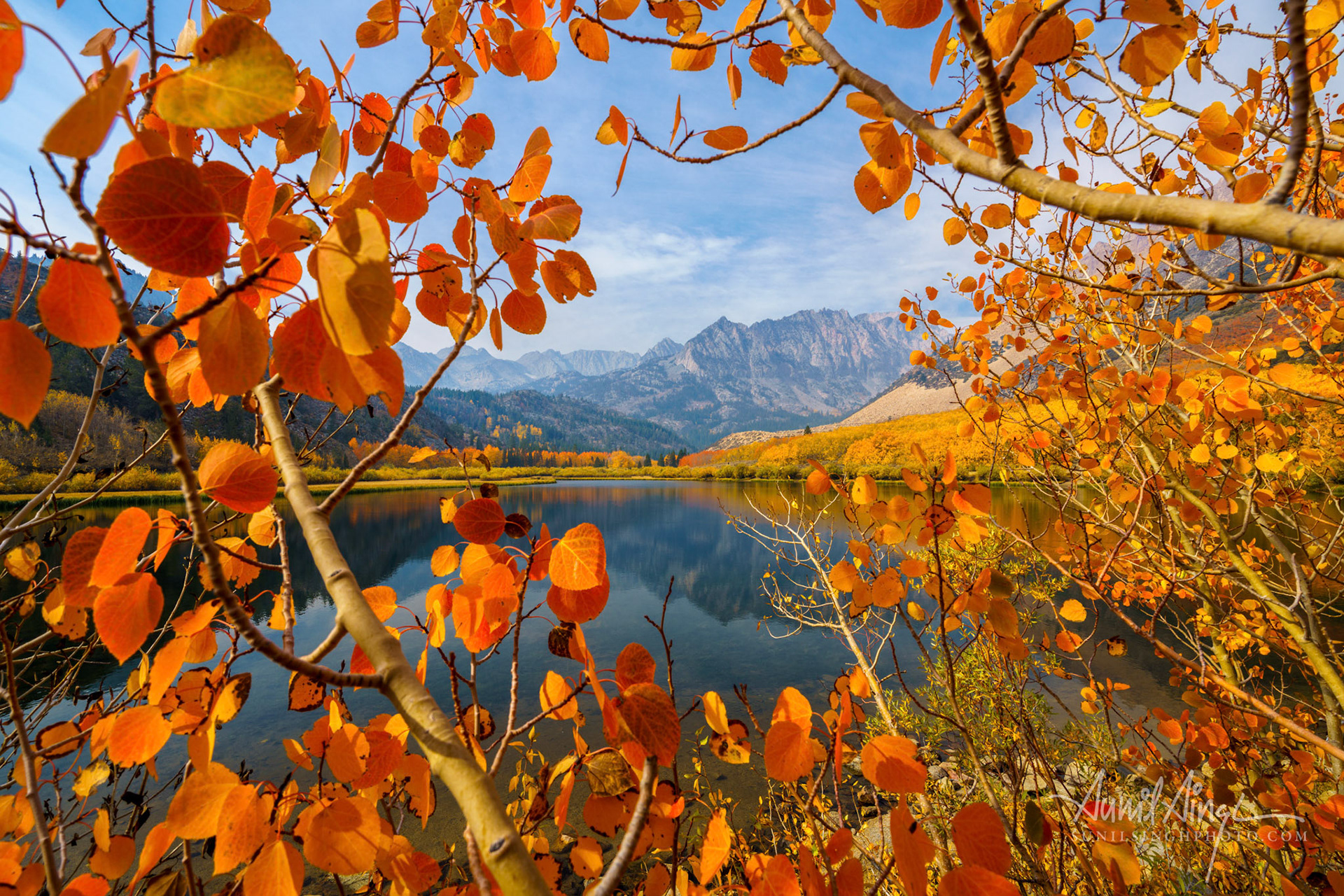 Fall colors, North Lake, CA, USA