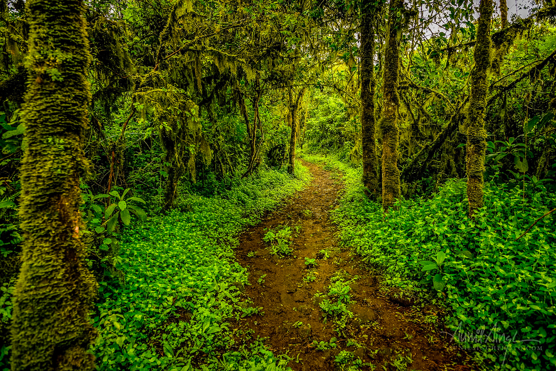 Galapagos, Ecuador