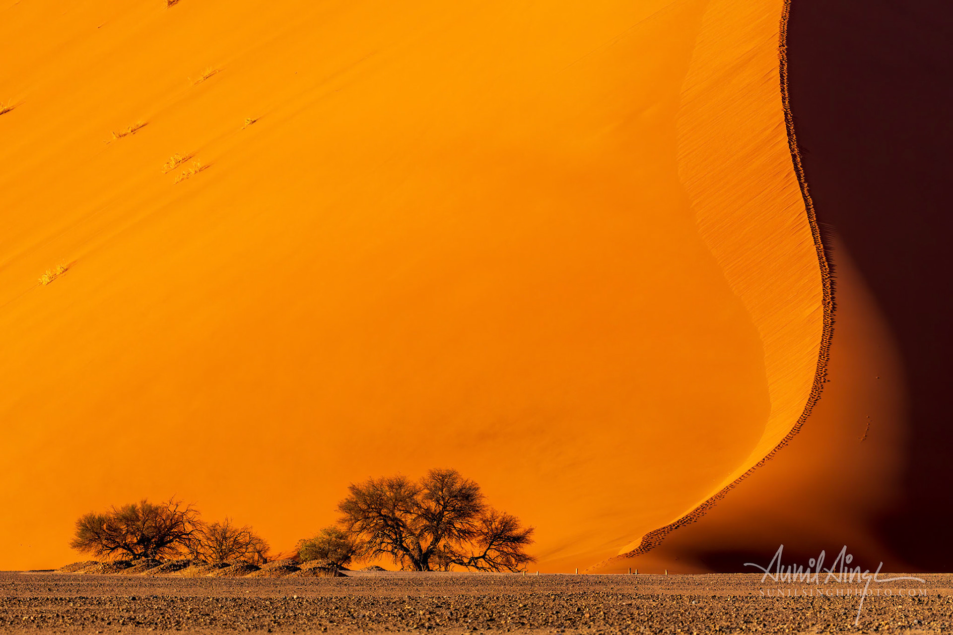 Namib-Naukluft Park, Namib Desert, Namibia