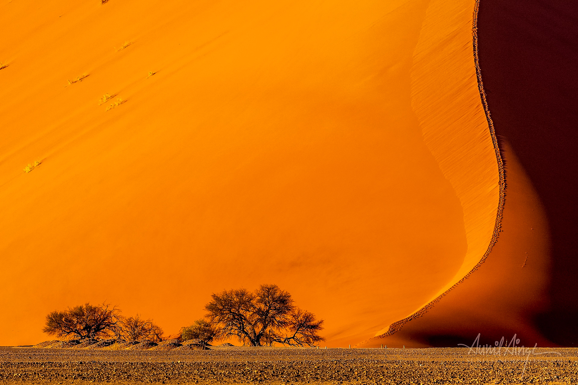 Namib-Naukluft Park, Namib Desert, Namibia