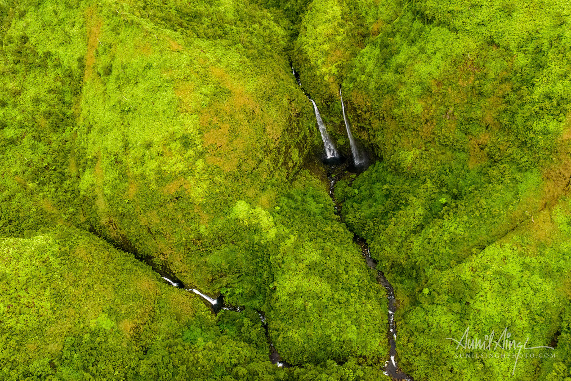 Kauai Forest Reserves, Kauai, Hawaii, USA