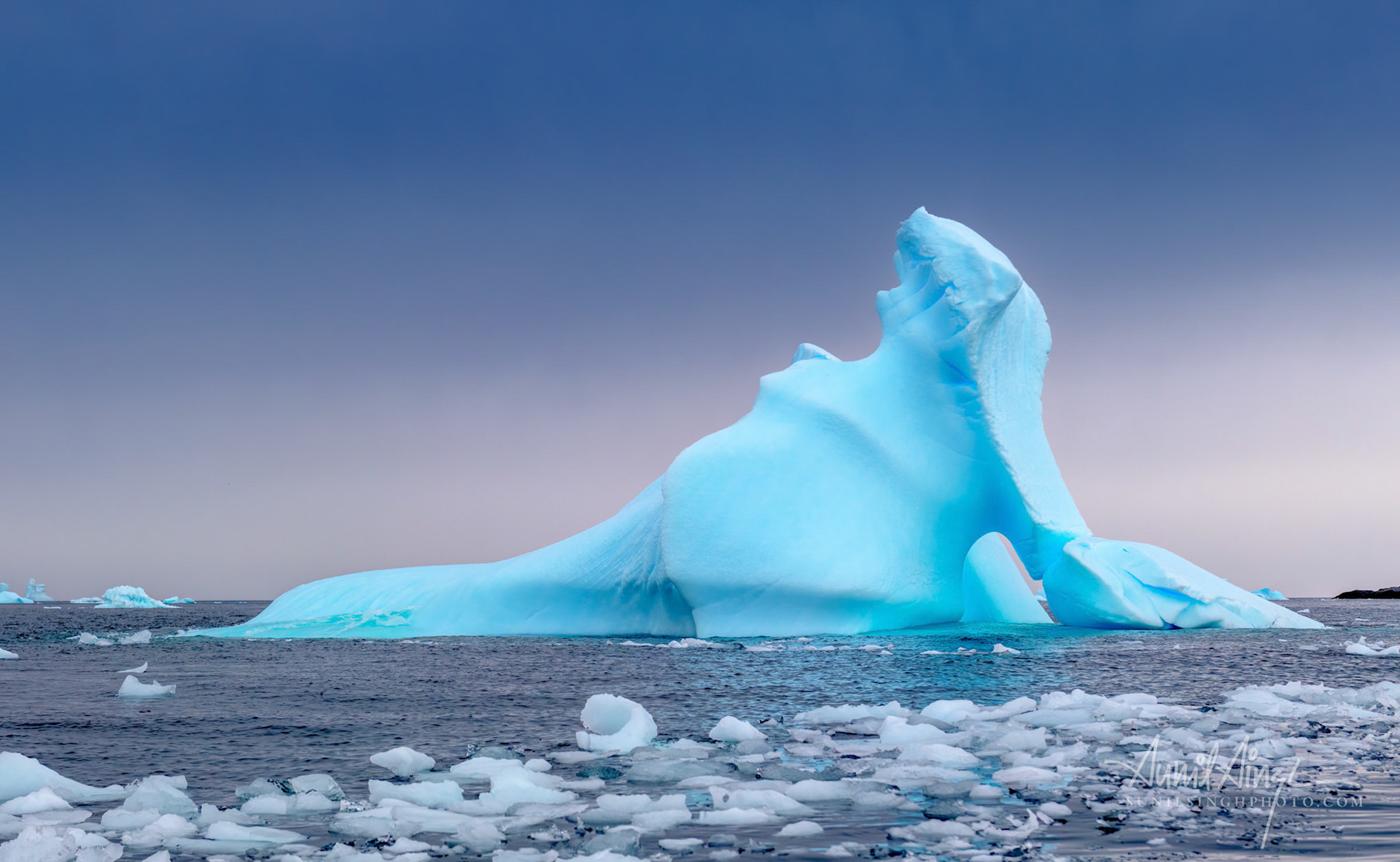 Iceberg, Cierva Cove, Antarctica