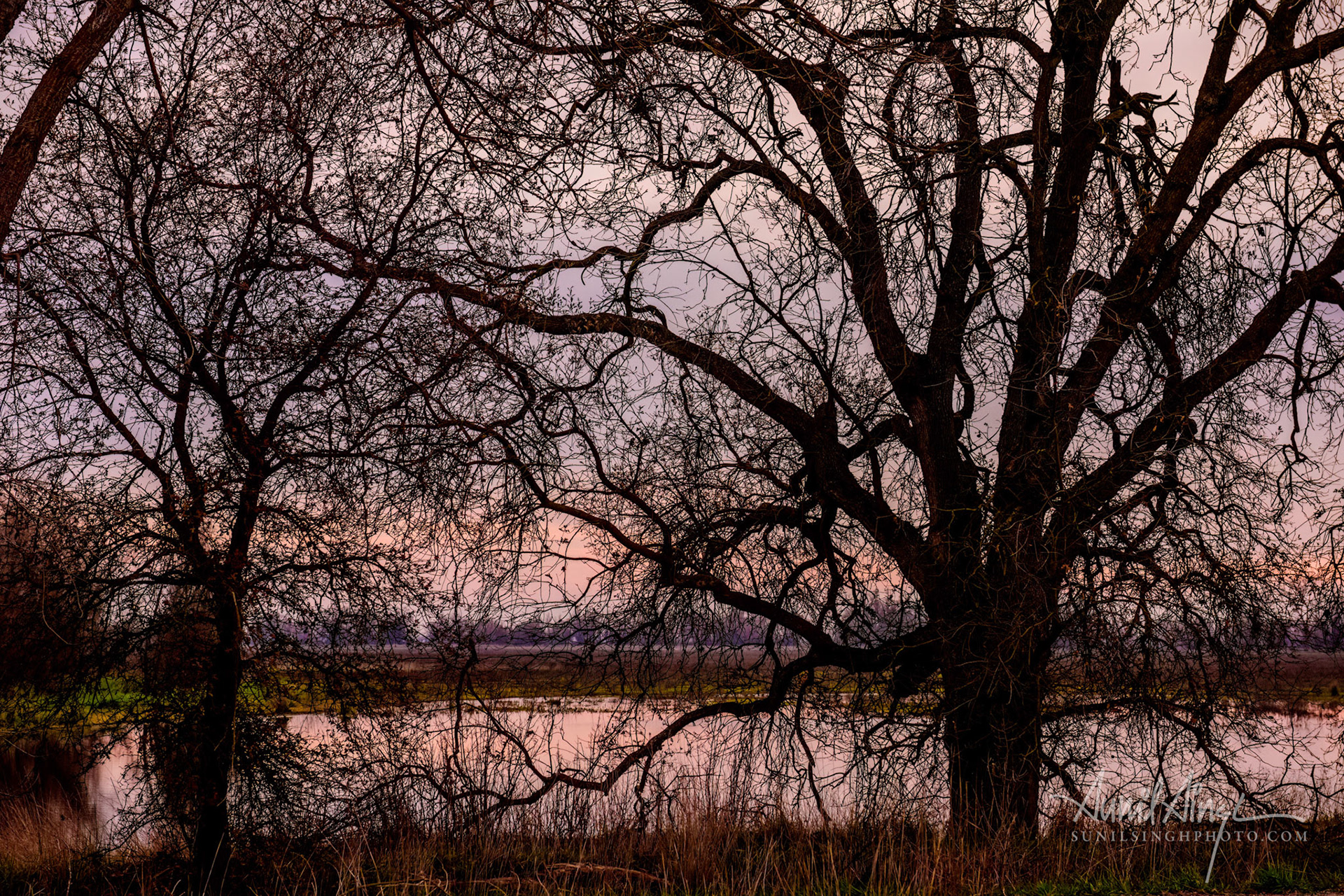 Colusa, California, USA