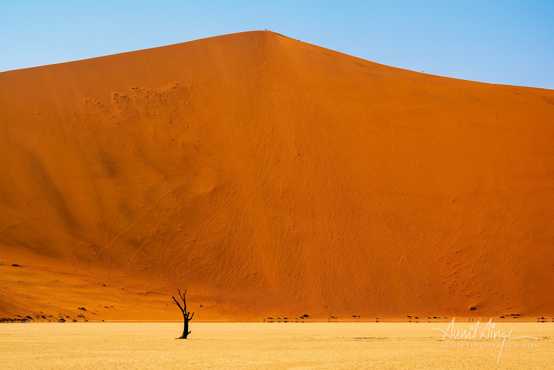 Namib-Naukluft Park, Namib Desert, Namibia