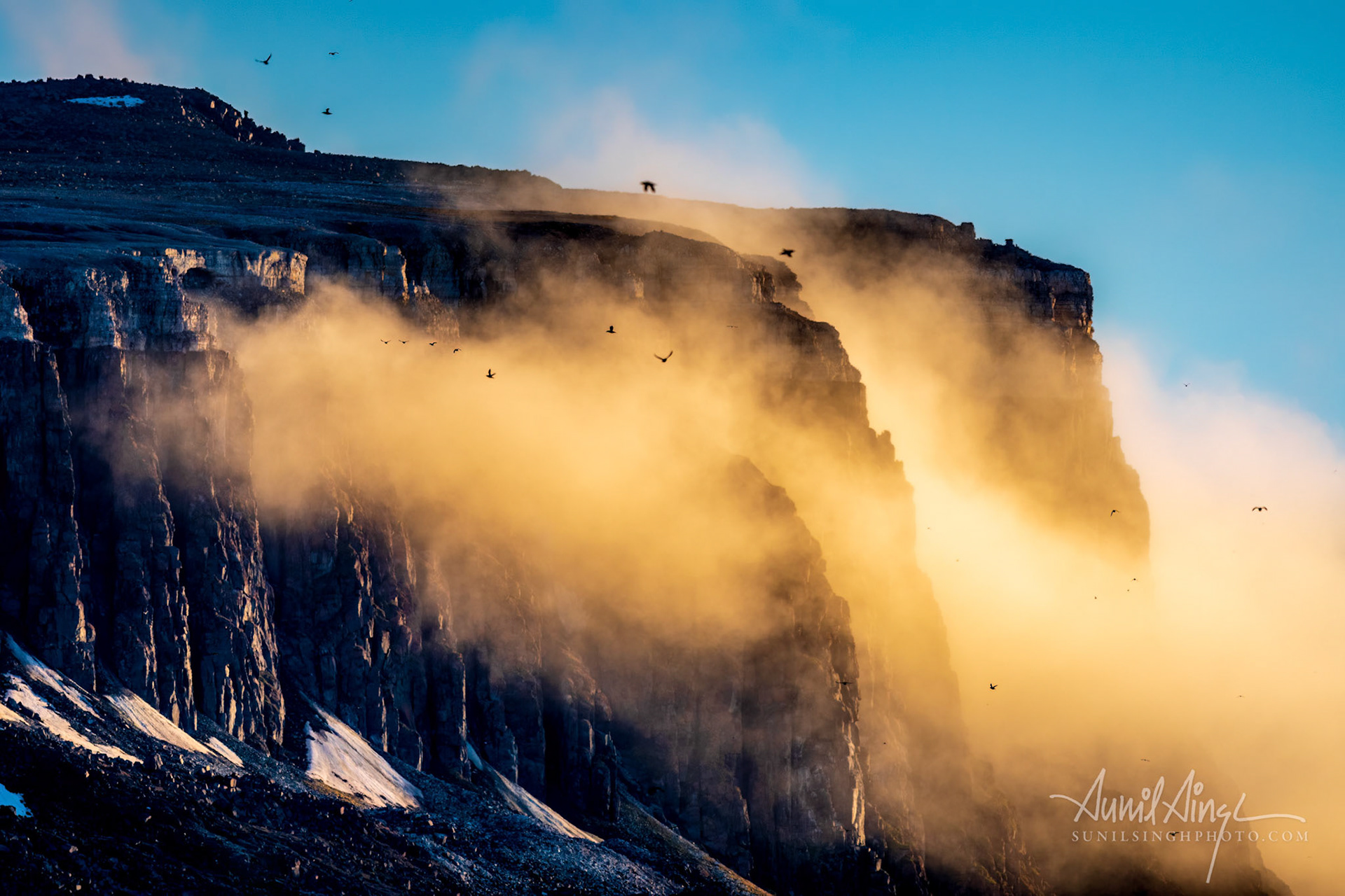 Alkefjellet bird cliff, Svalbard, Norway