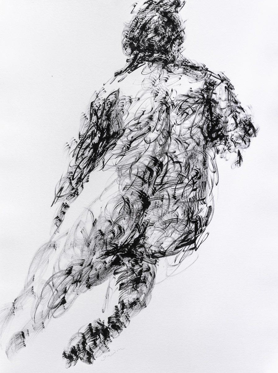 Spring (2018), ink on paper, 19x24in