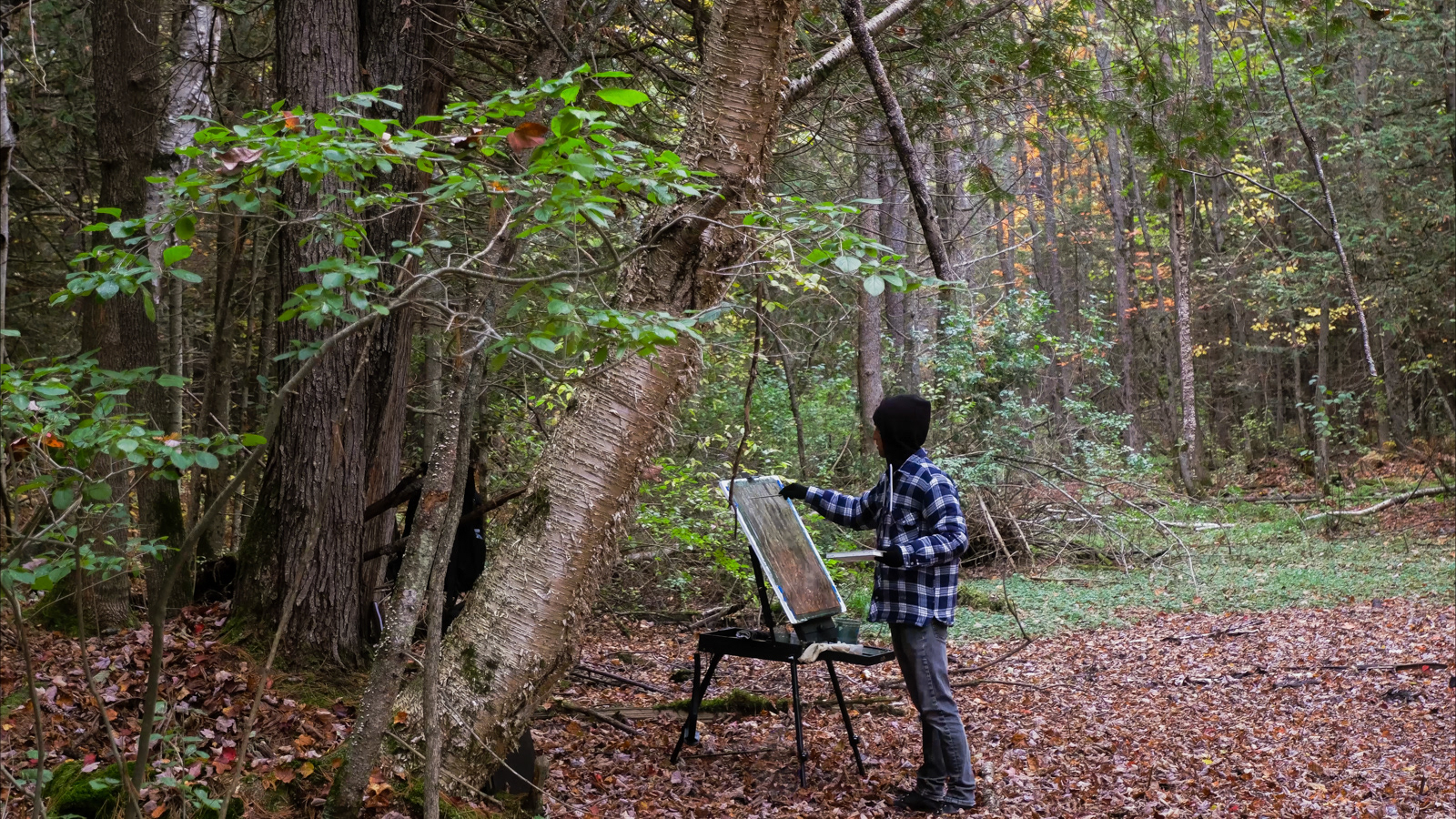 Curt painting one of his 'Forest ii' paintings in Foy Provincial Park Ontario 2023