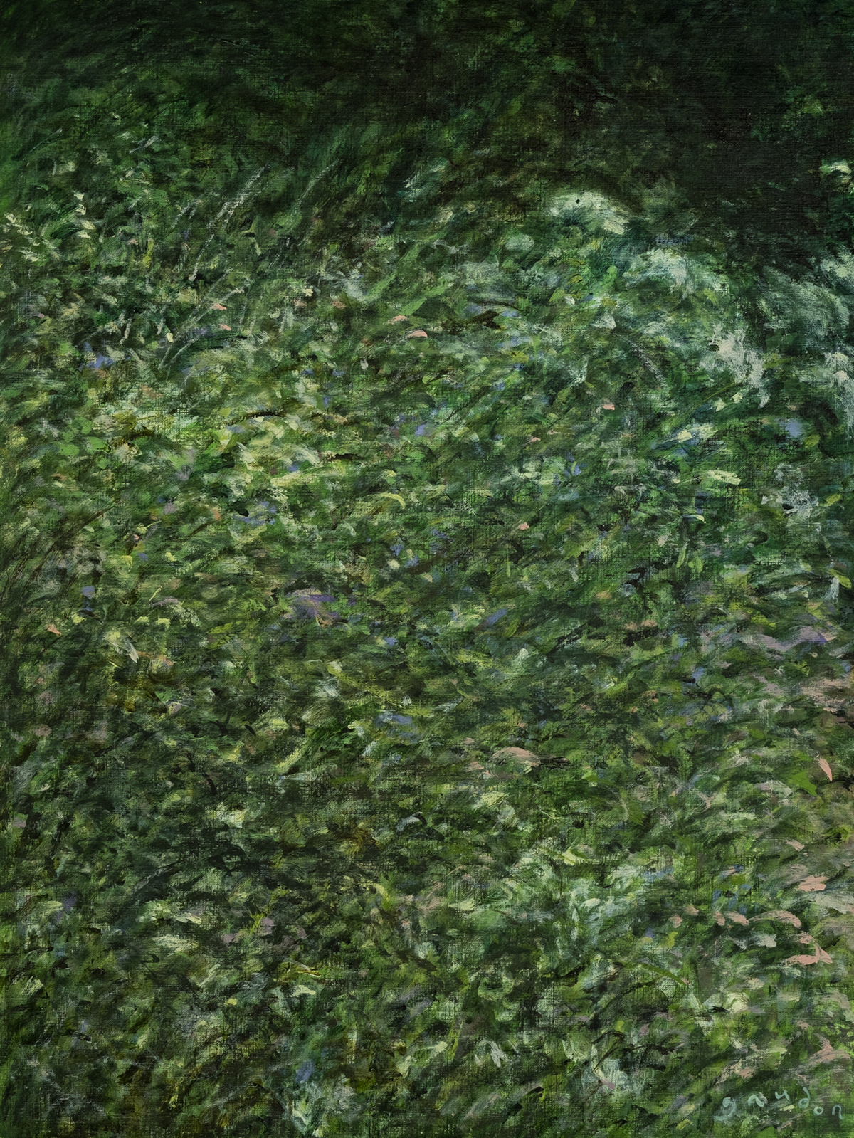 Wildflowers, growth (2023), acrylic on cellulose, 18 x 24 inches