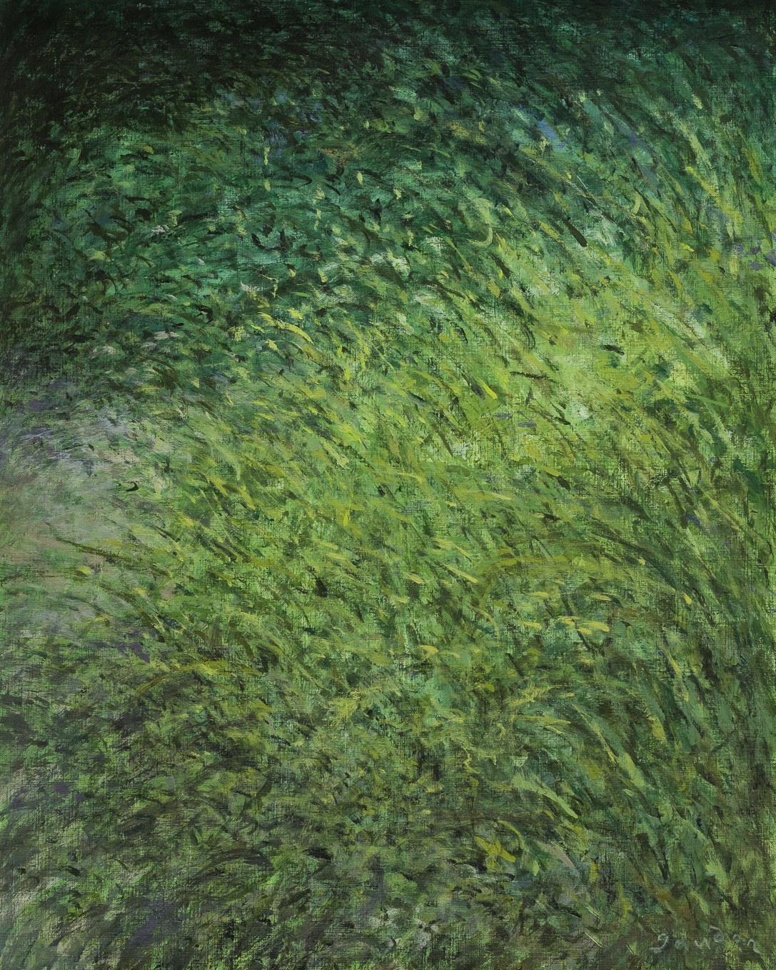 Wildflowers, pathway (2023), acrylic on cellulose, 19 x 24 inches