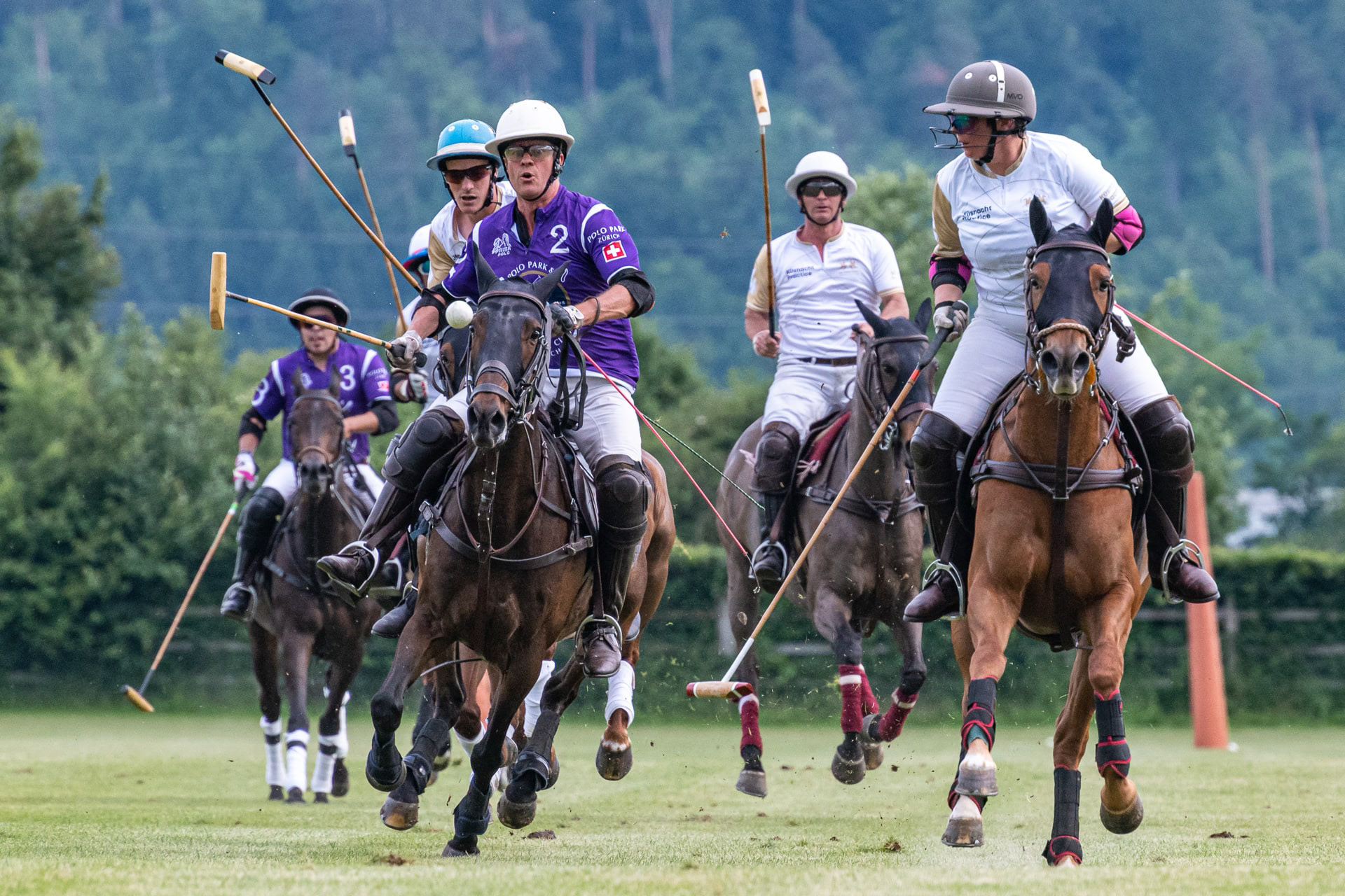 Polo
