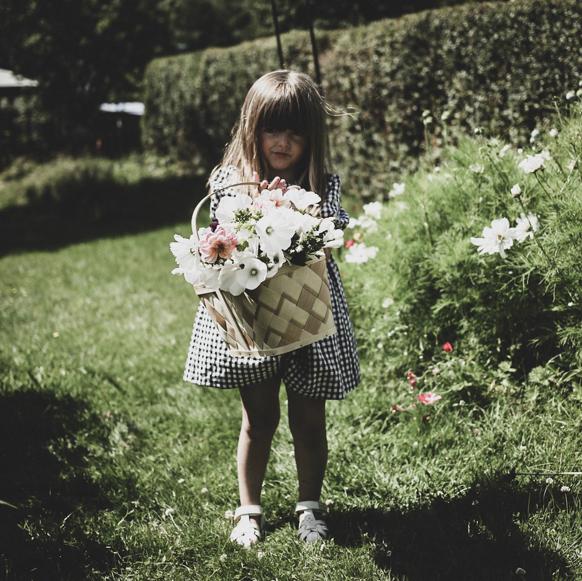Snittblomsodling 2
