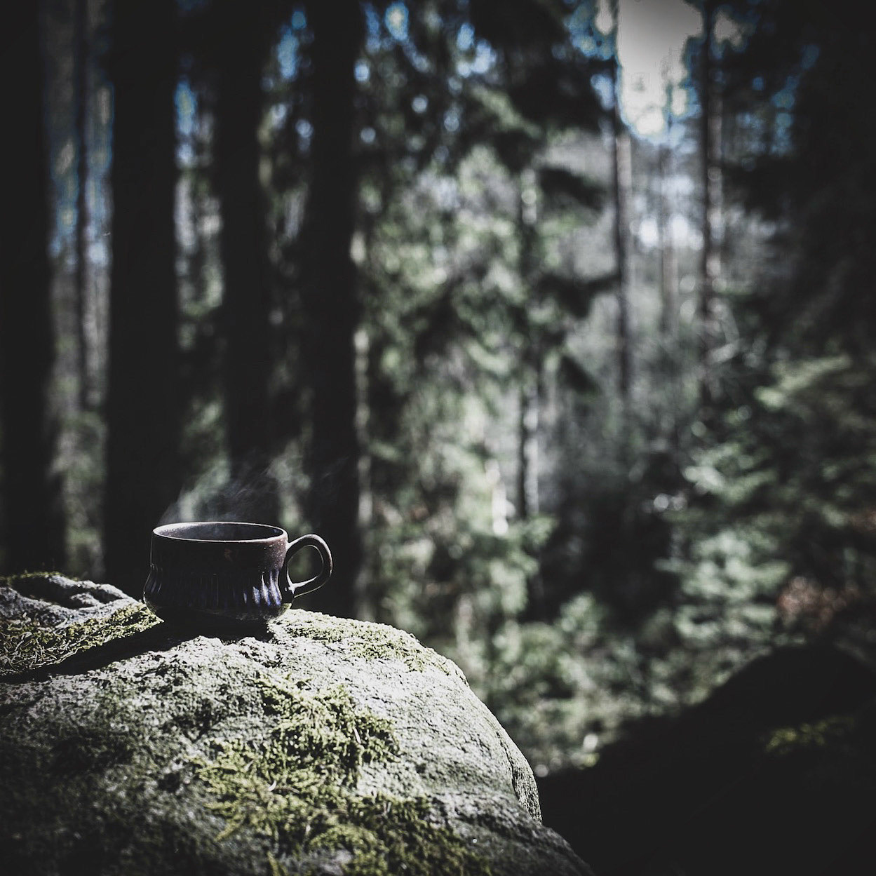 Skogen