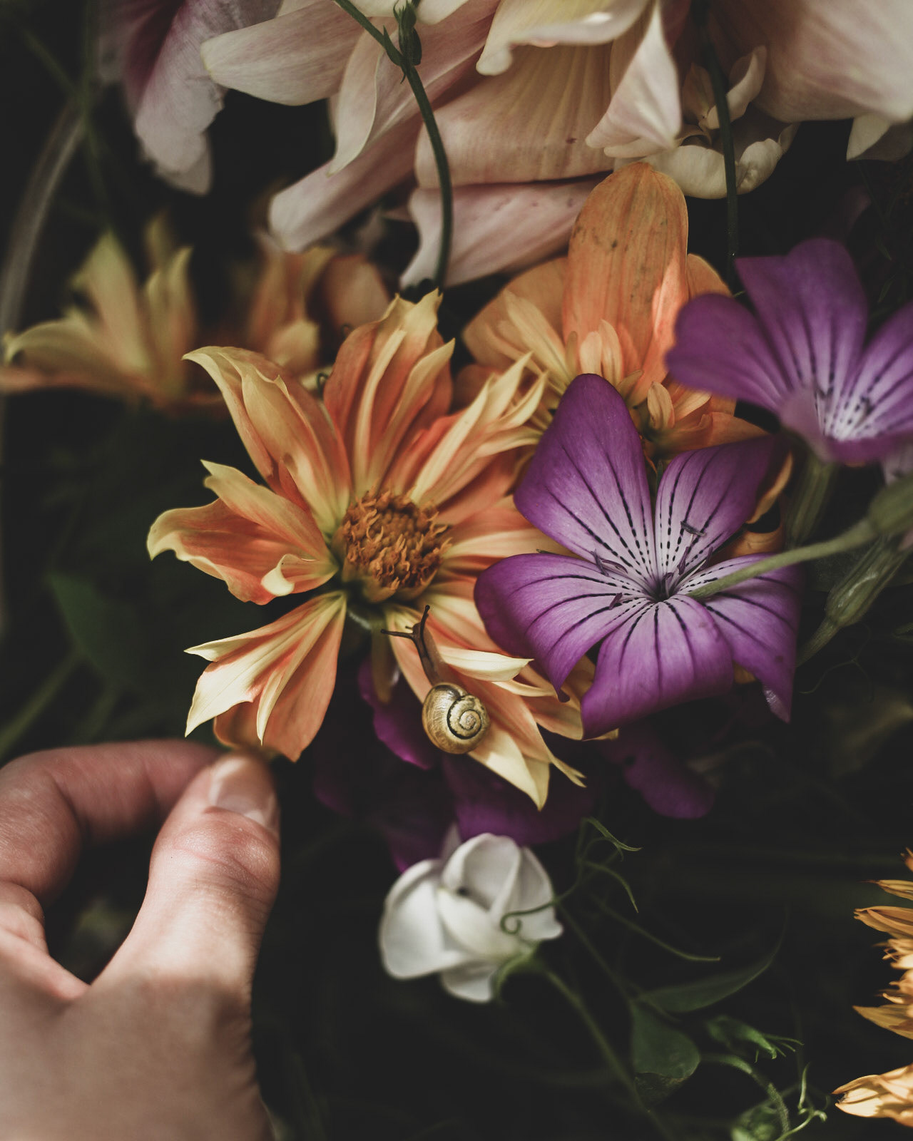Blomsterskörd 2