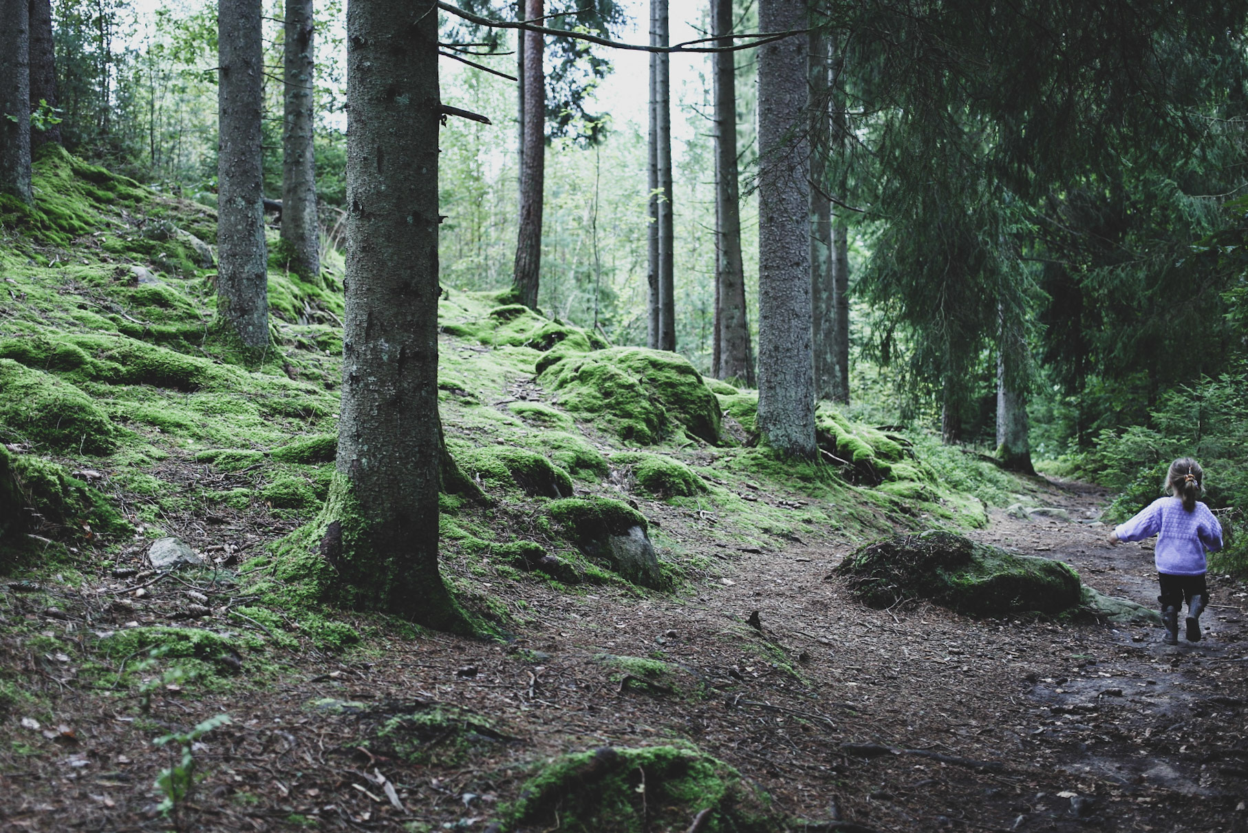 Skogen 3