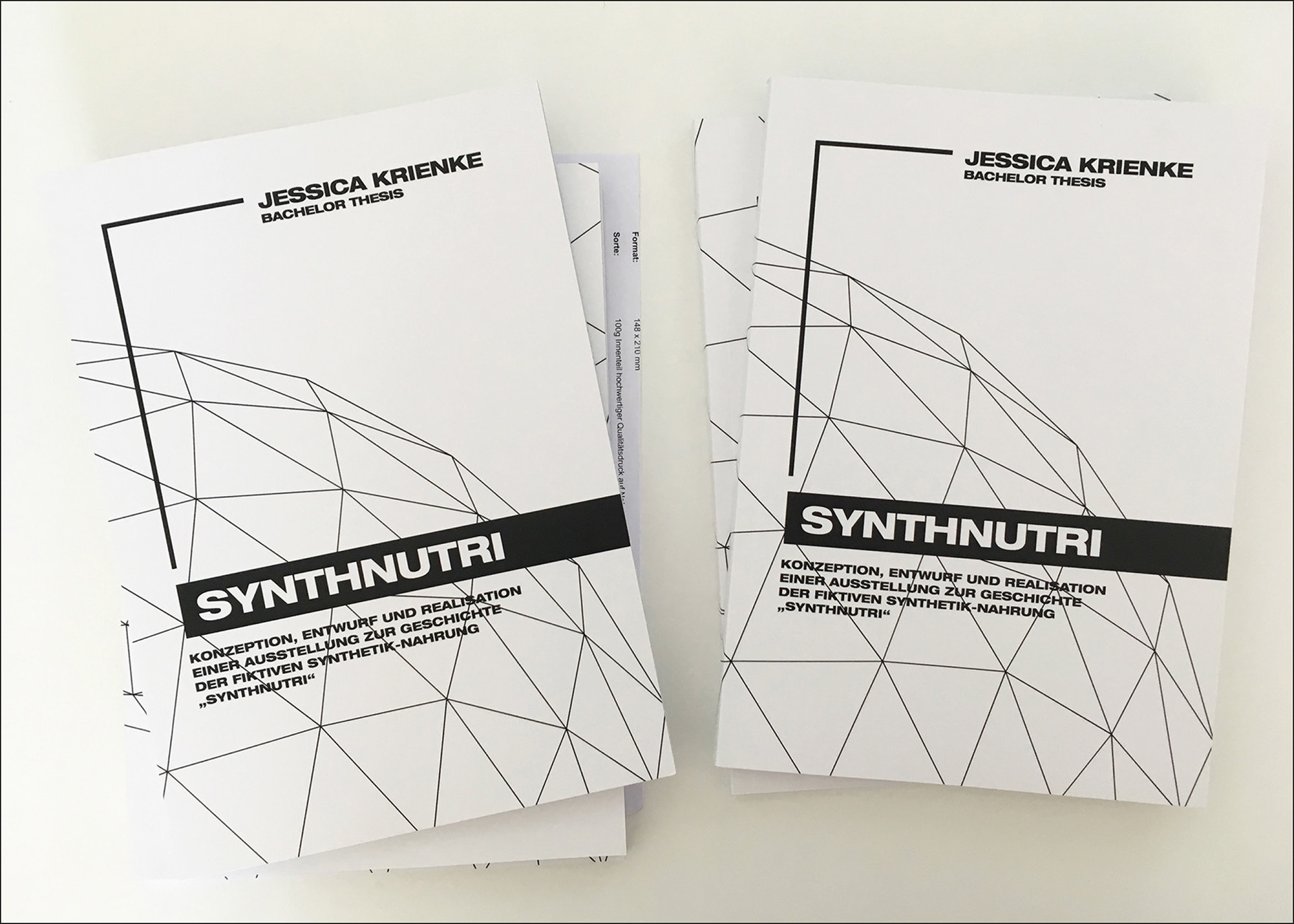 Bachelor Thesis zu "SynthNutri"