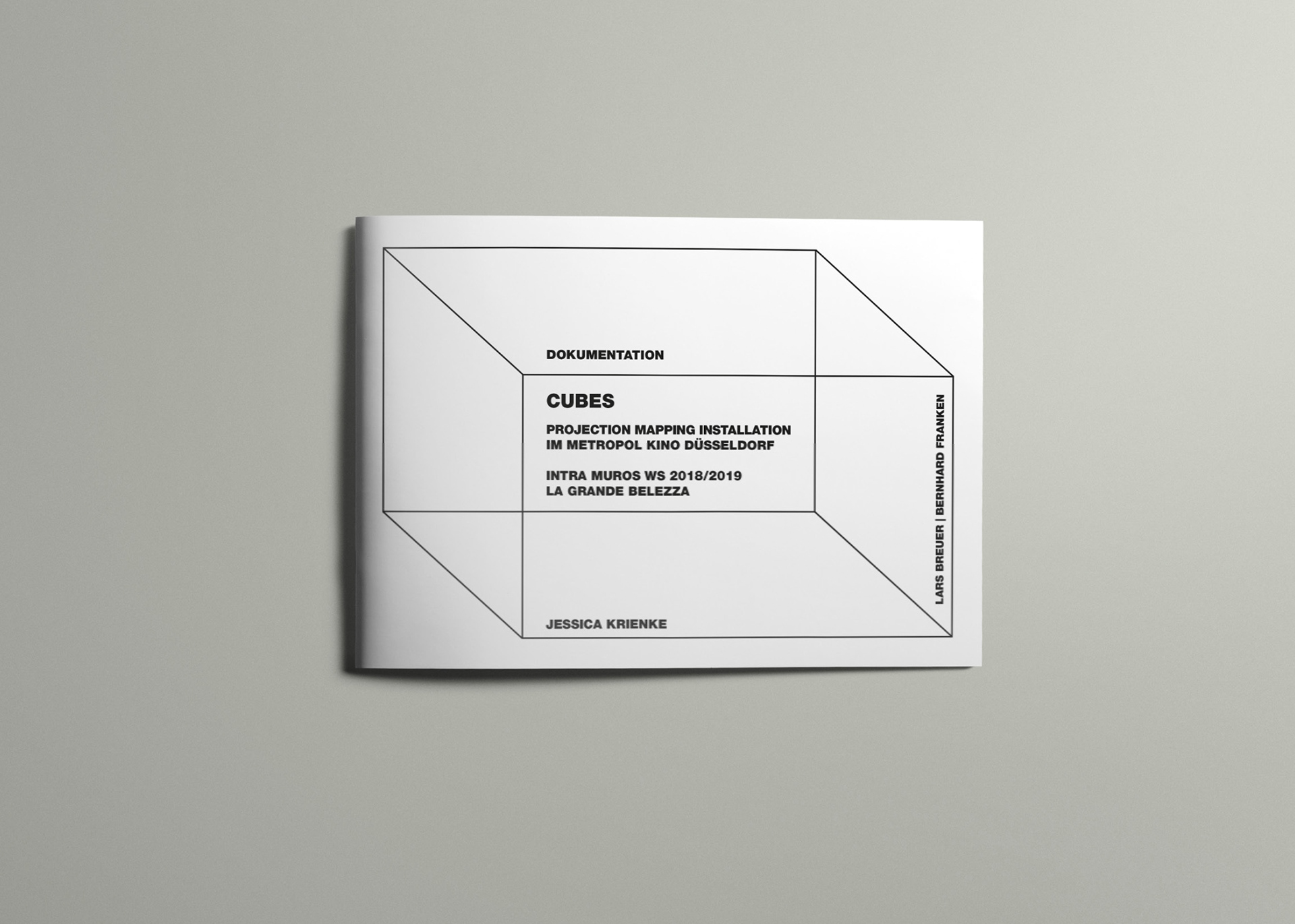 Dokumentation des Projekts "CUBES"