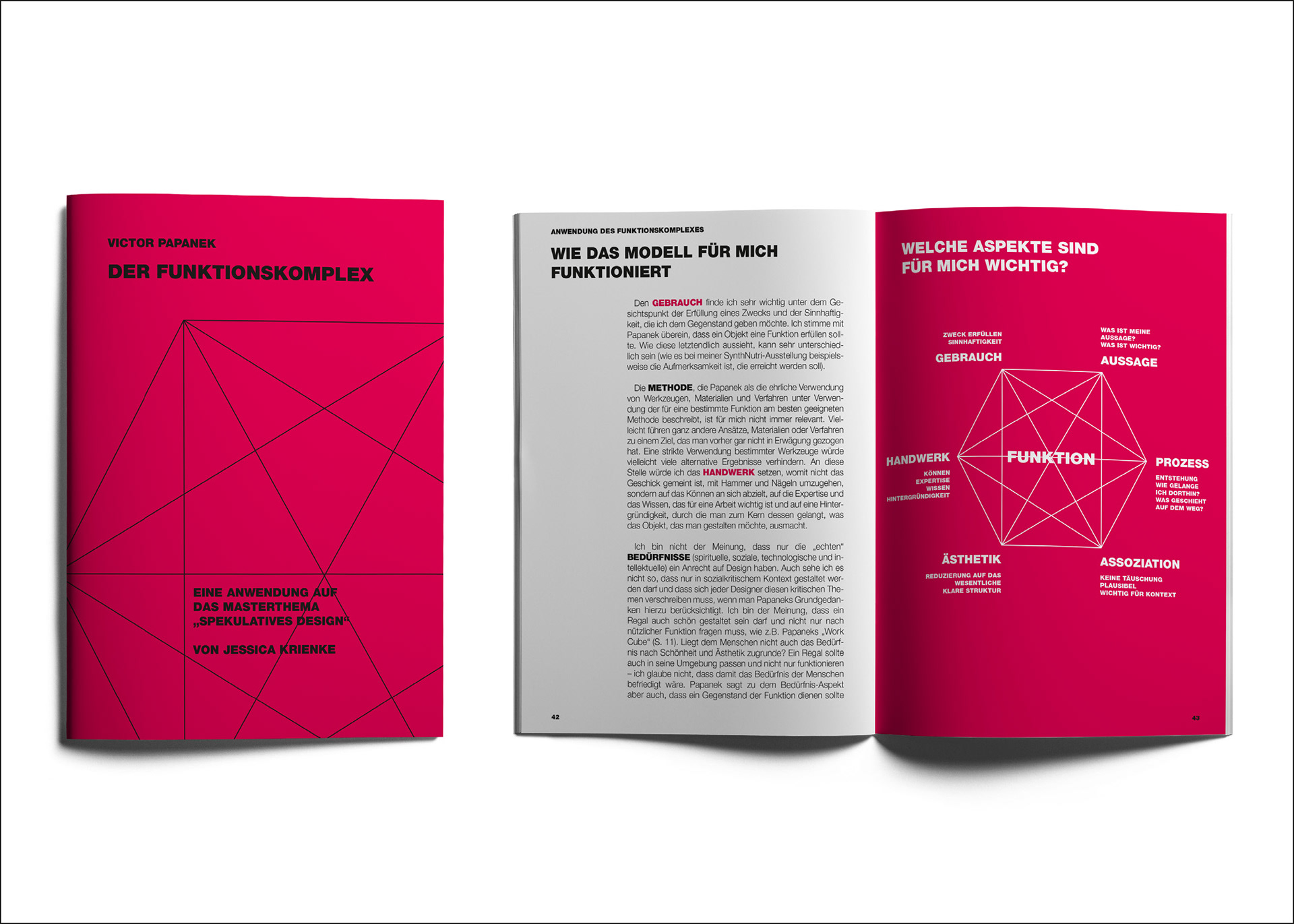 Analyse Viktor Papaneks "Funktionskomplex" im Hinblick auf das "SynthNutri"-Projekt