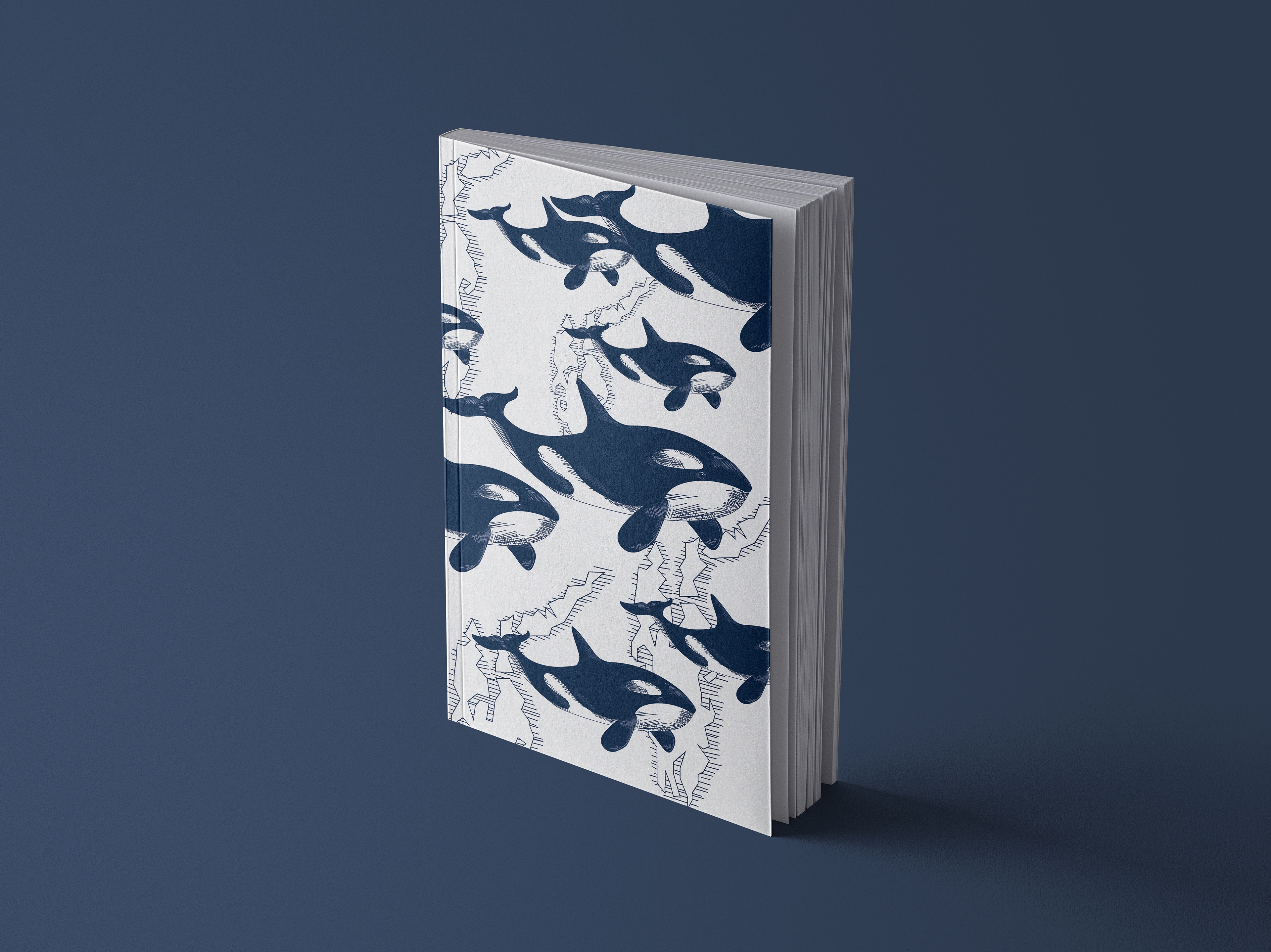 Orca Wale