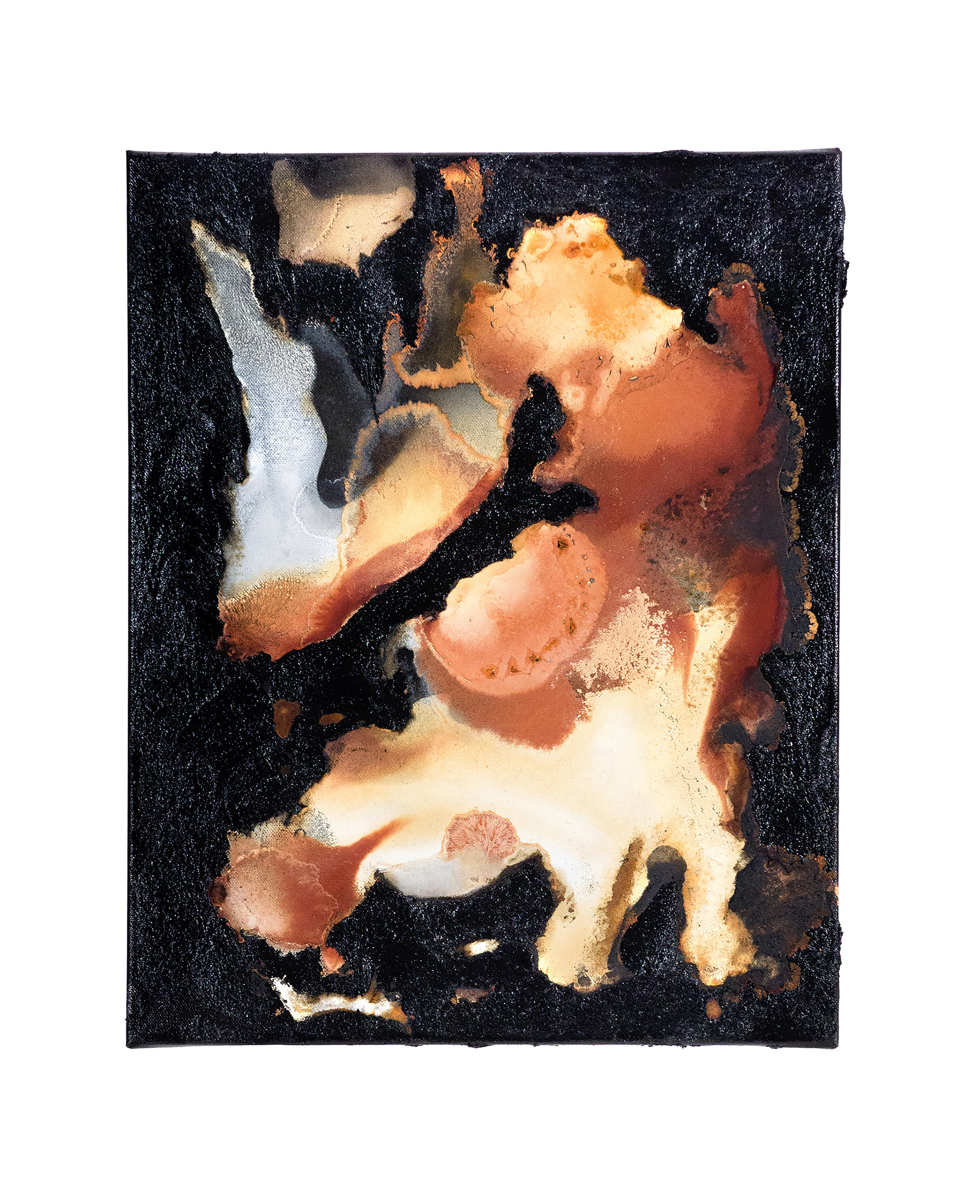 Tailings Pond 16 - 50 x 40 cm - 2018 - emulsion paint, bitumen, plaster of Paris, iron, iron oxide, acid and synthetic resin on canvas