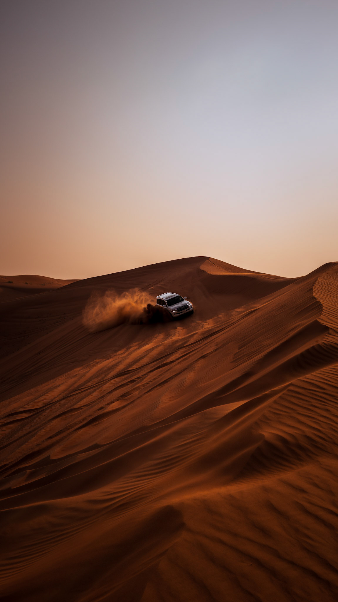Desert Safare UAE