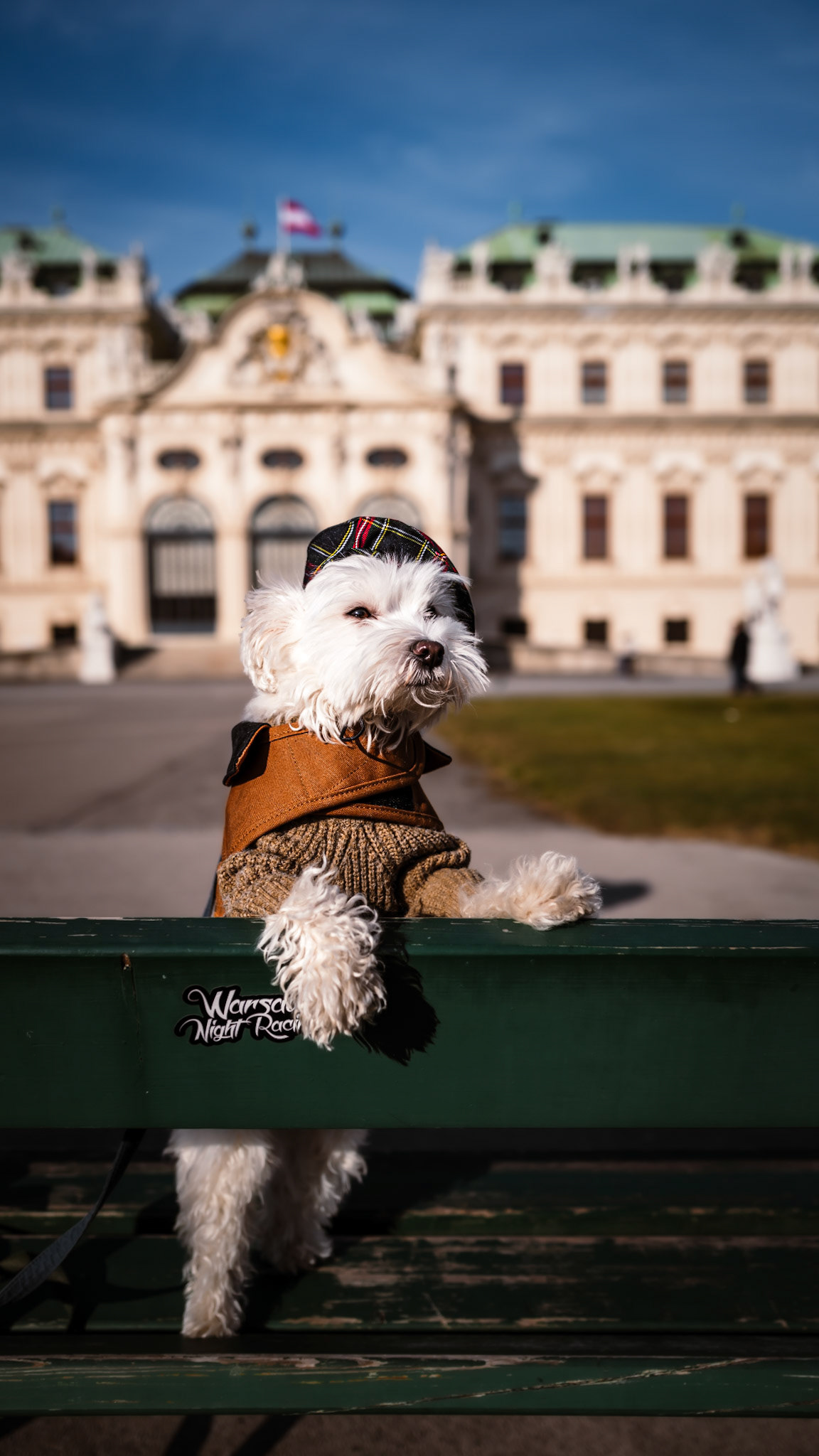 Tofu posing in front of Belvedere Palace