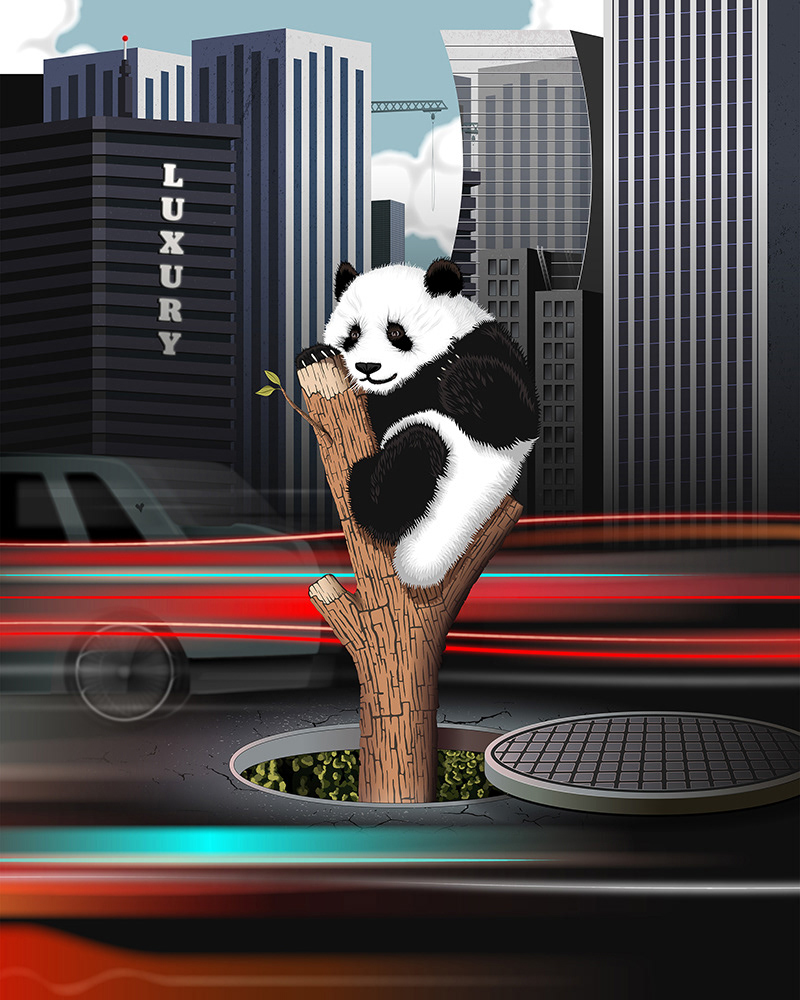 The Man And The Panda